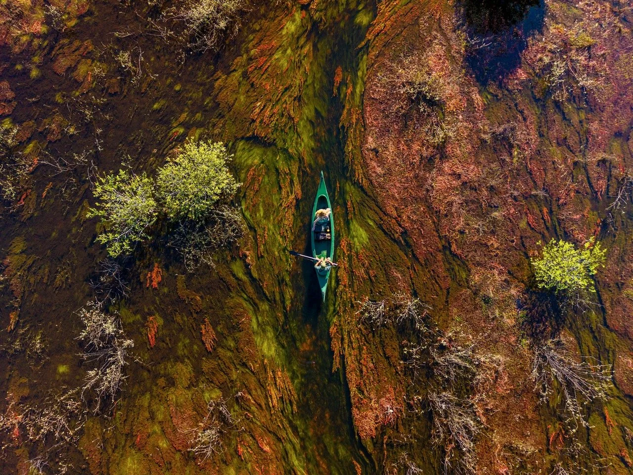 Barco e canoa - 2.jpeg