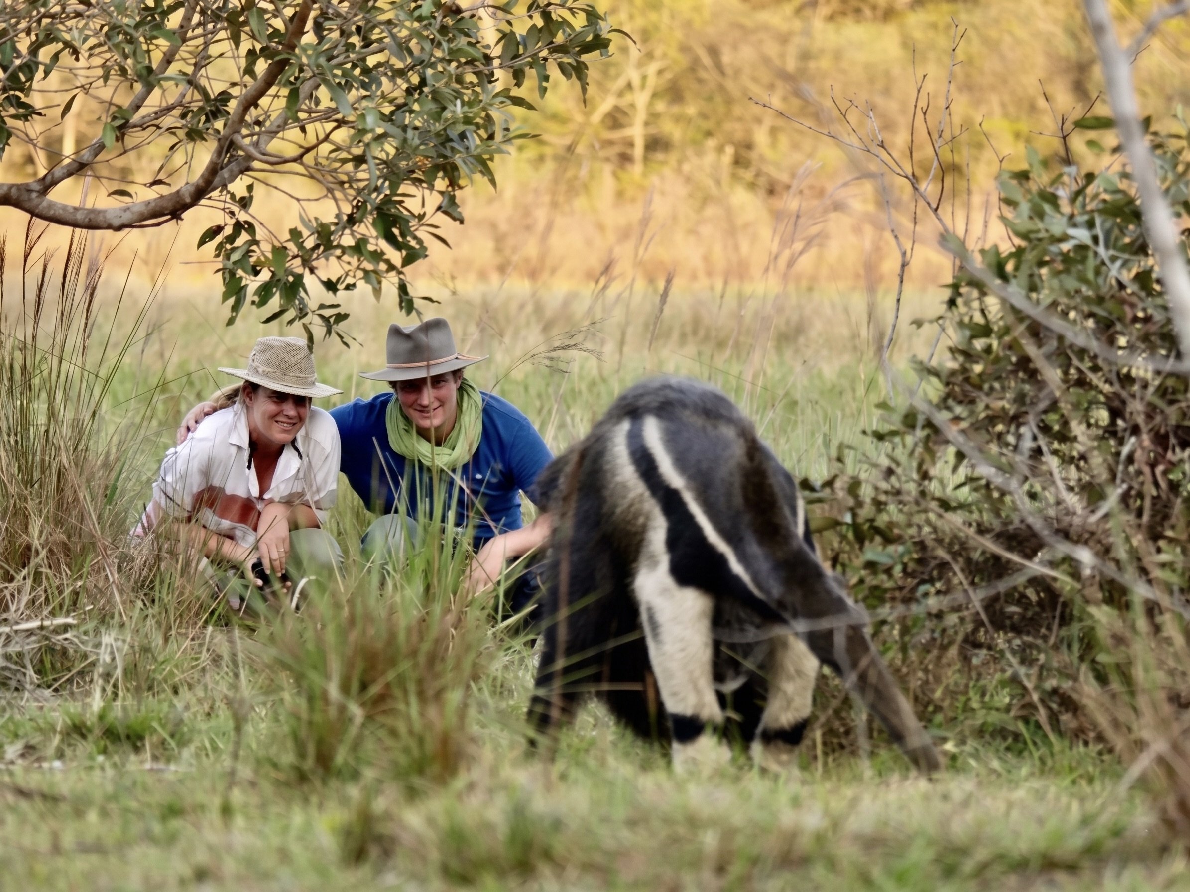 Trilha com Tamandua2.jpeg