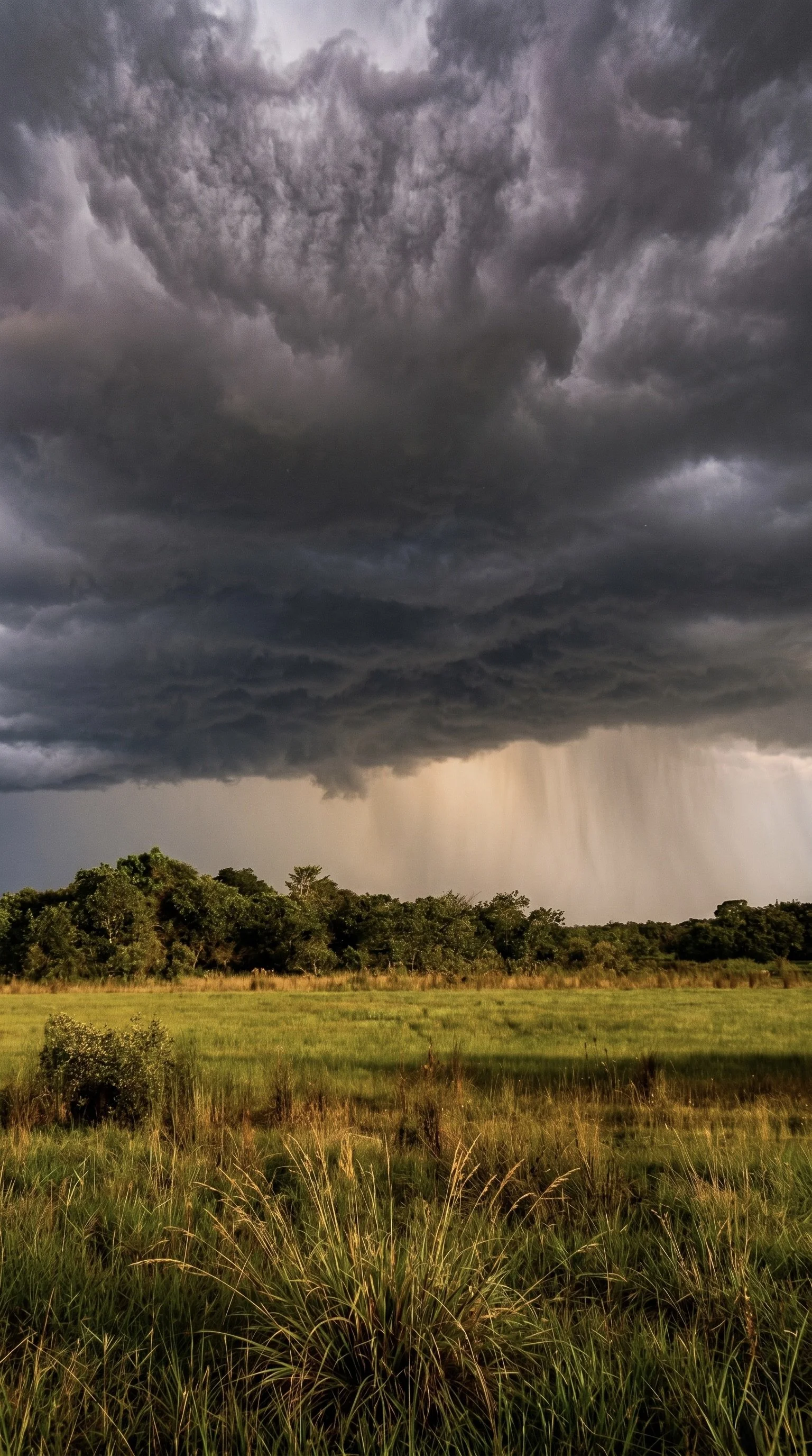 Dark storm cloud overhead with rain falling over a green landscape and trees on a sunny day.