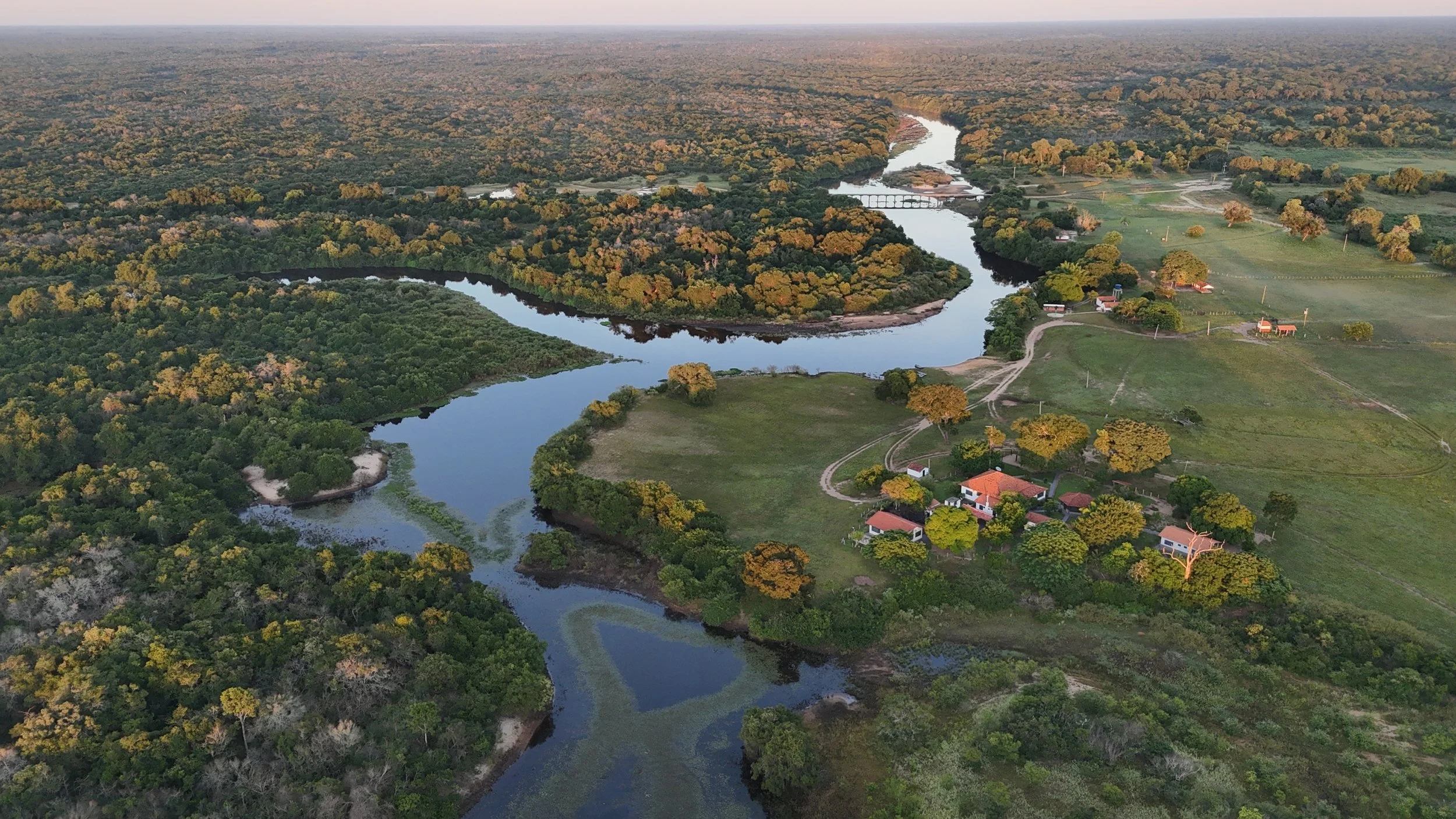 Aerial view of a winding river through lush green landscape with trees and a few houses nearby, capturing a rural area at sunset or sunrise.