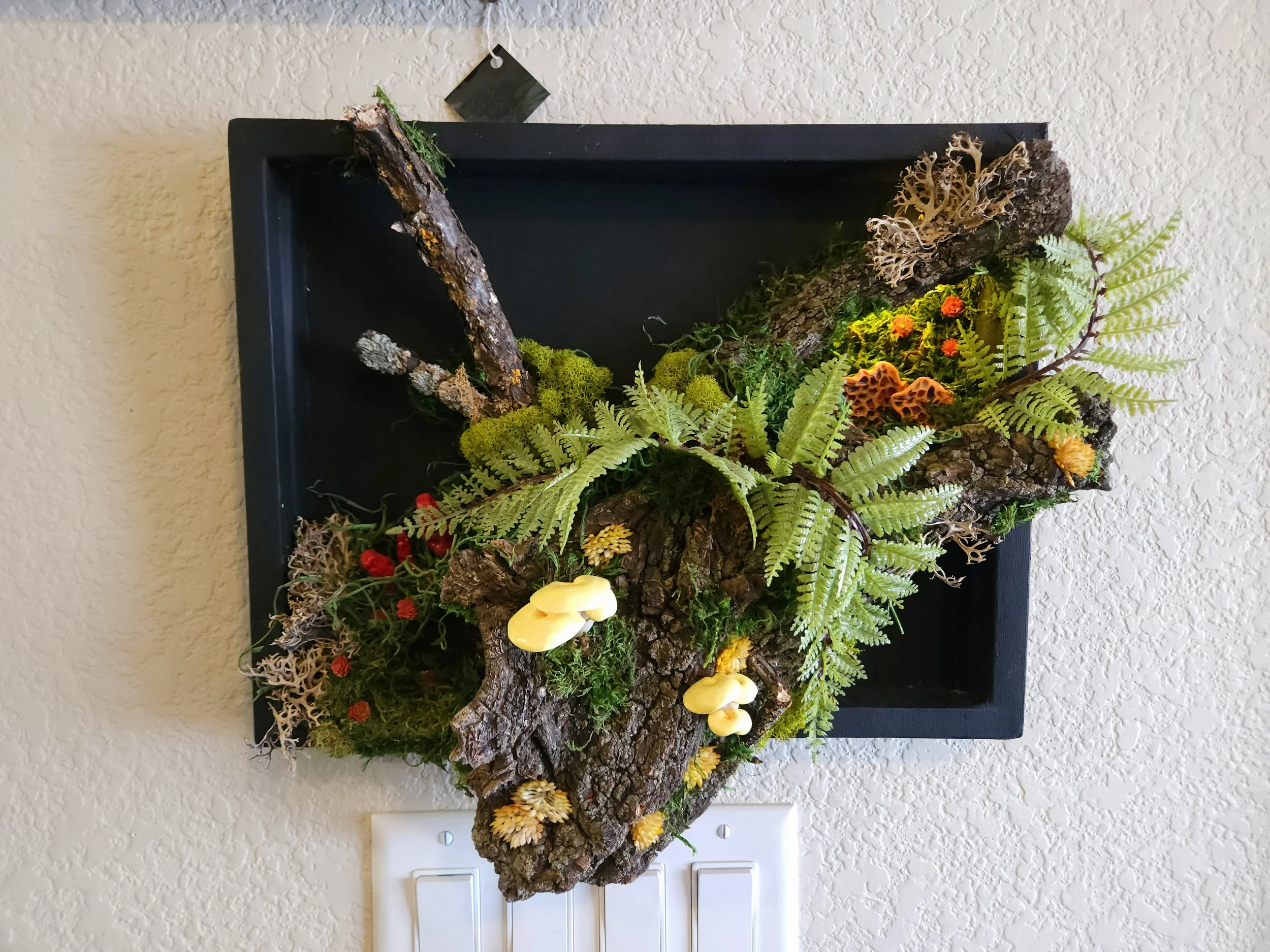 Enchanted Forest 3D Mushroom Wall Art