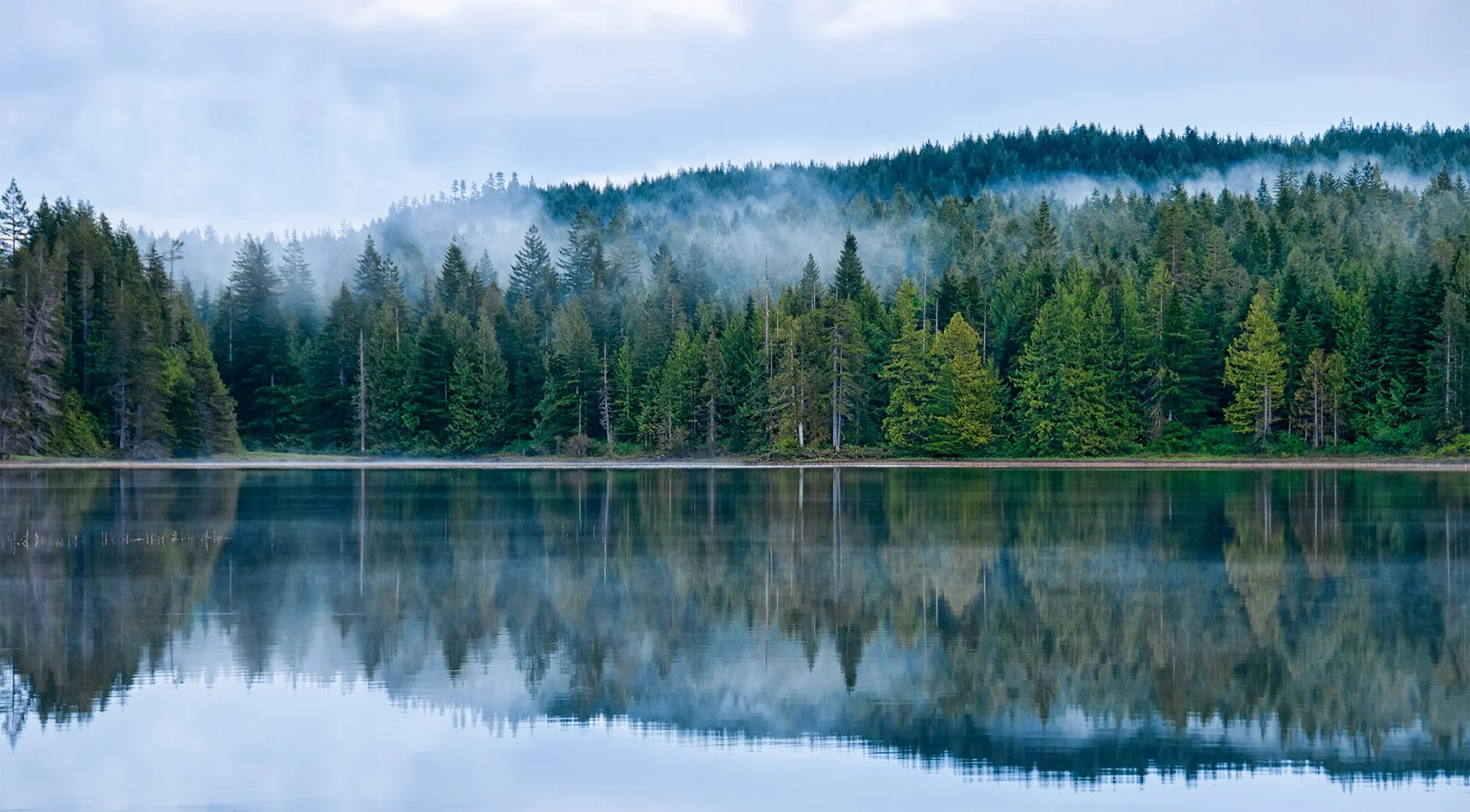 A forested mountain with tall evergreen trees reflected in a calm lake, with some light mist in the air.