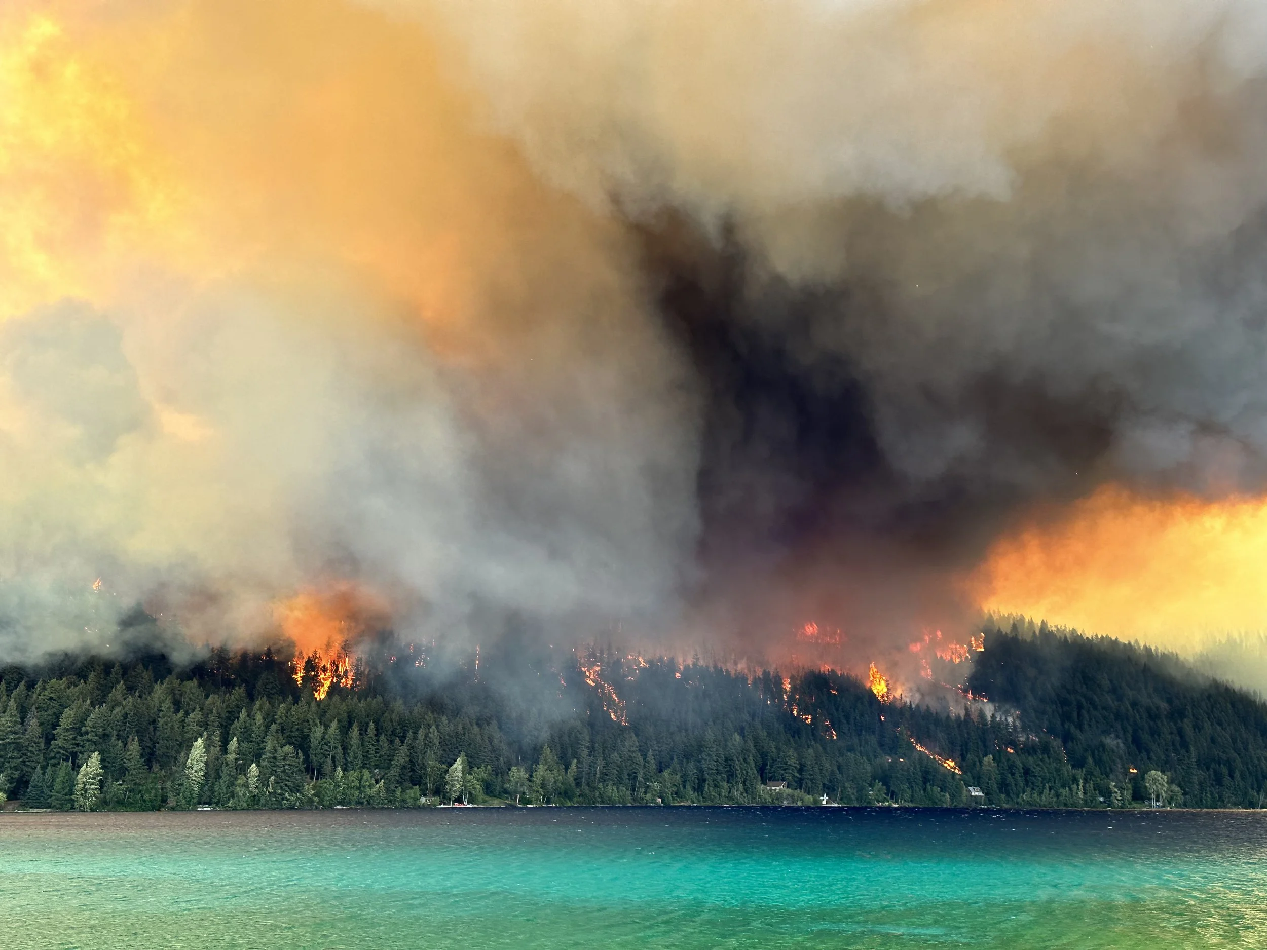 From wildfire tragedy to innovation—FireSwarm Solutions' journey
