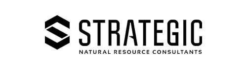 Strategic