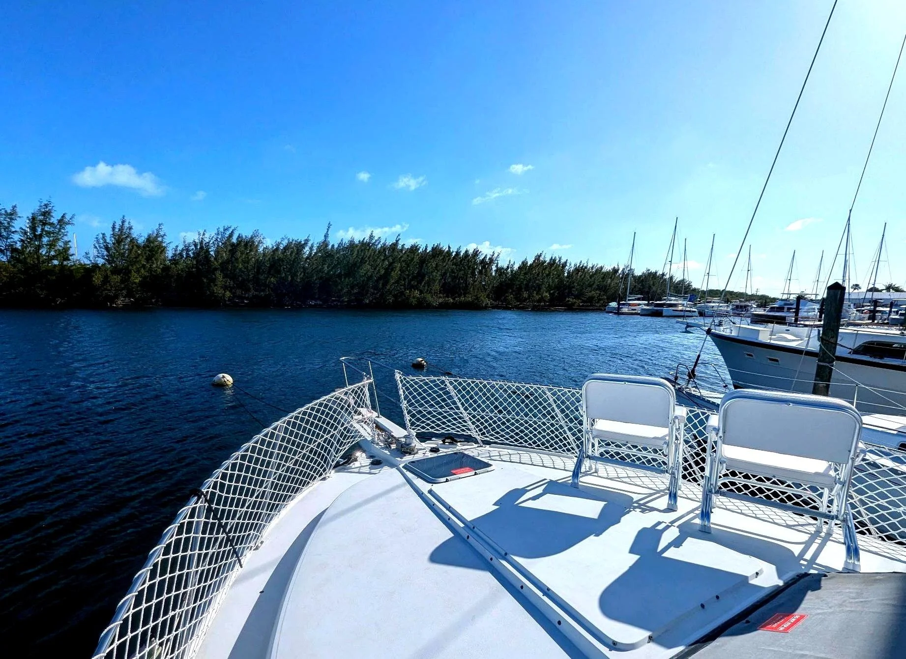 final_enhanced_IMG_20260409_083244 (10).jpg