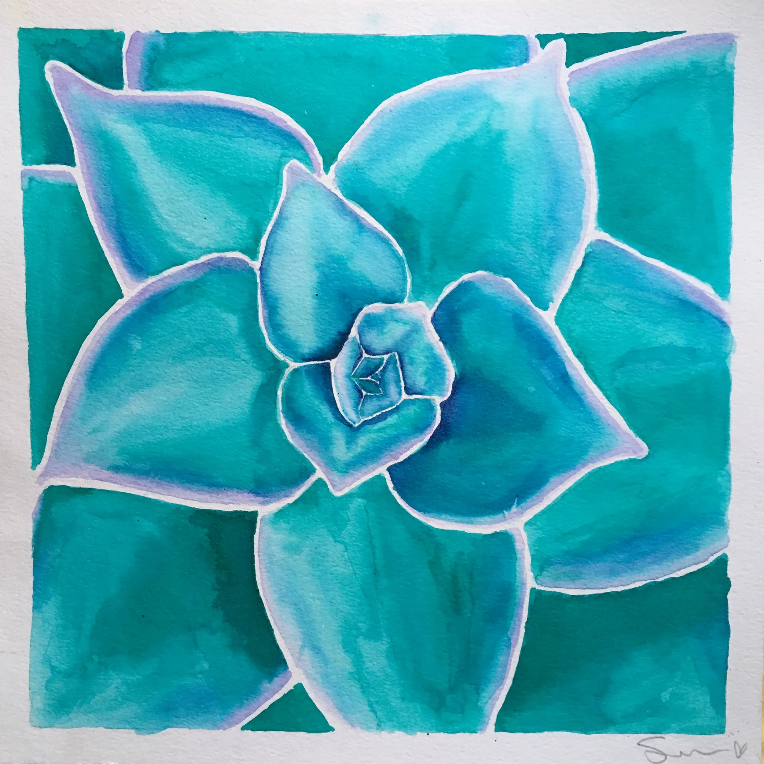 Succulent Study | 2016 | Watercolor on Paper | 12" x 12" 