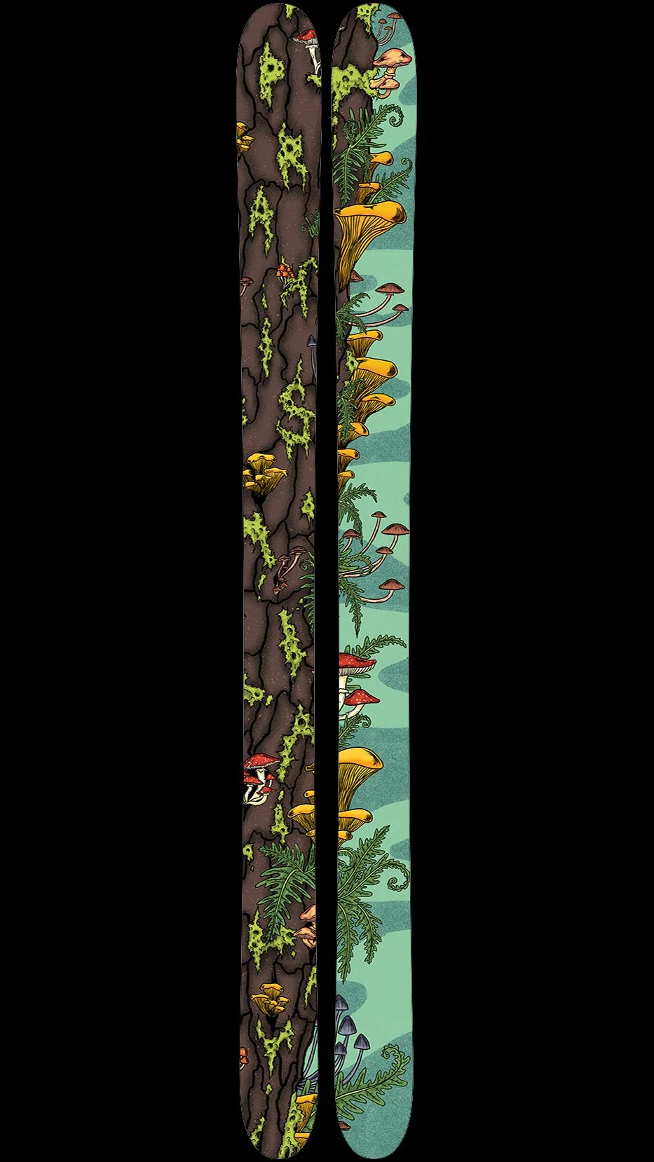 Fungi | design