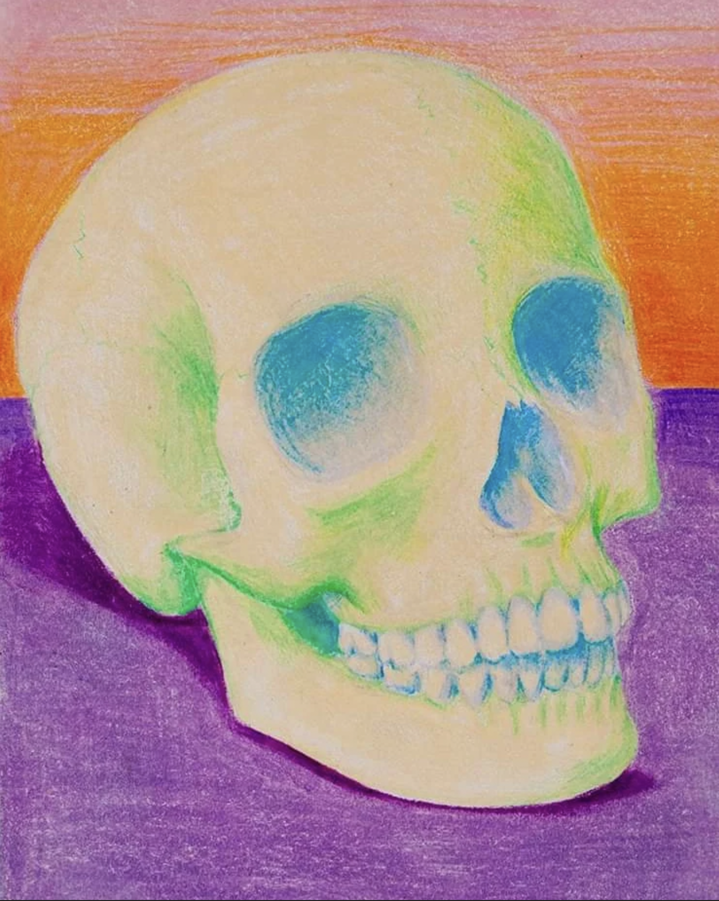 Skull Study | 2012 | Colored Pencil on Paper | 8" x 10"
