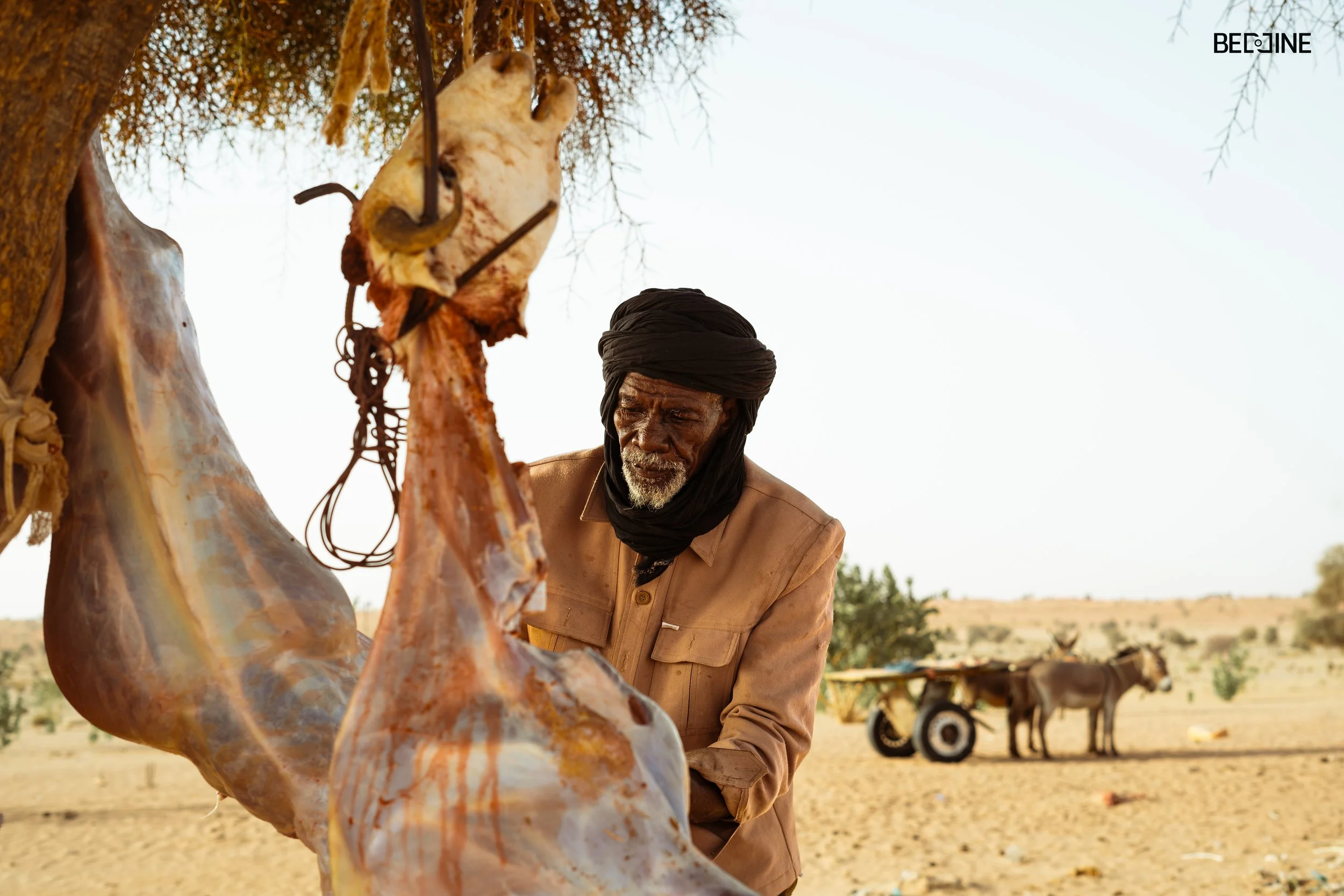 adha sheep butcher under tree (1 of 1).jpg