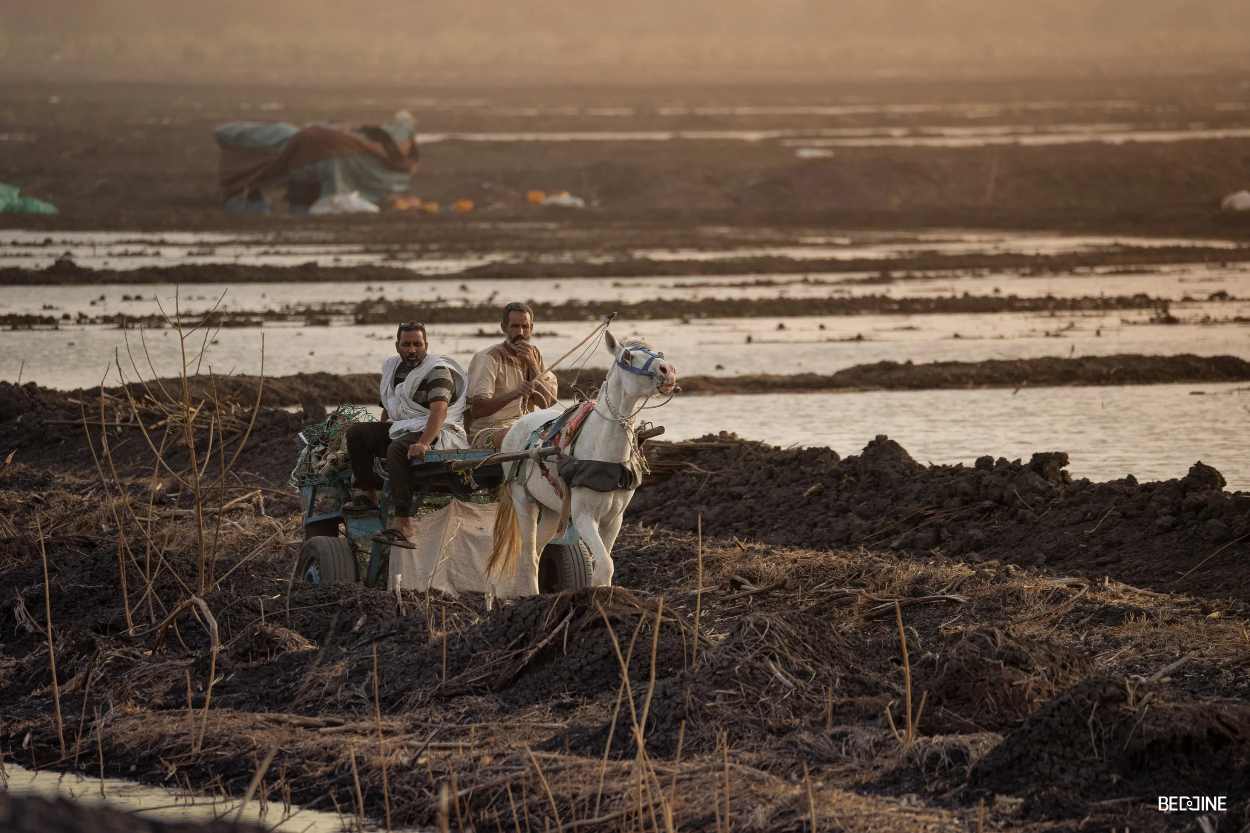 rkiz field two  hores-cart men (1 of 1).jpg