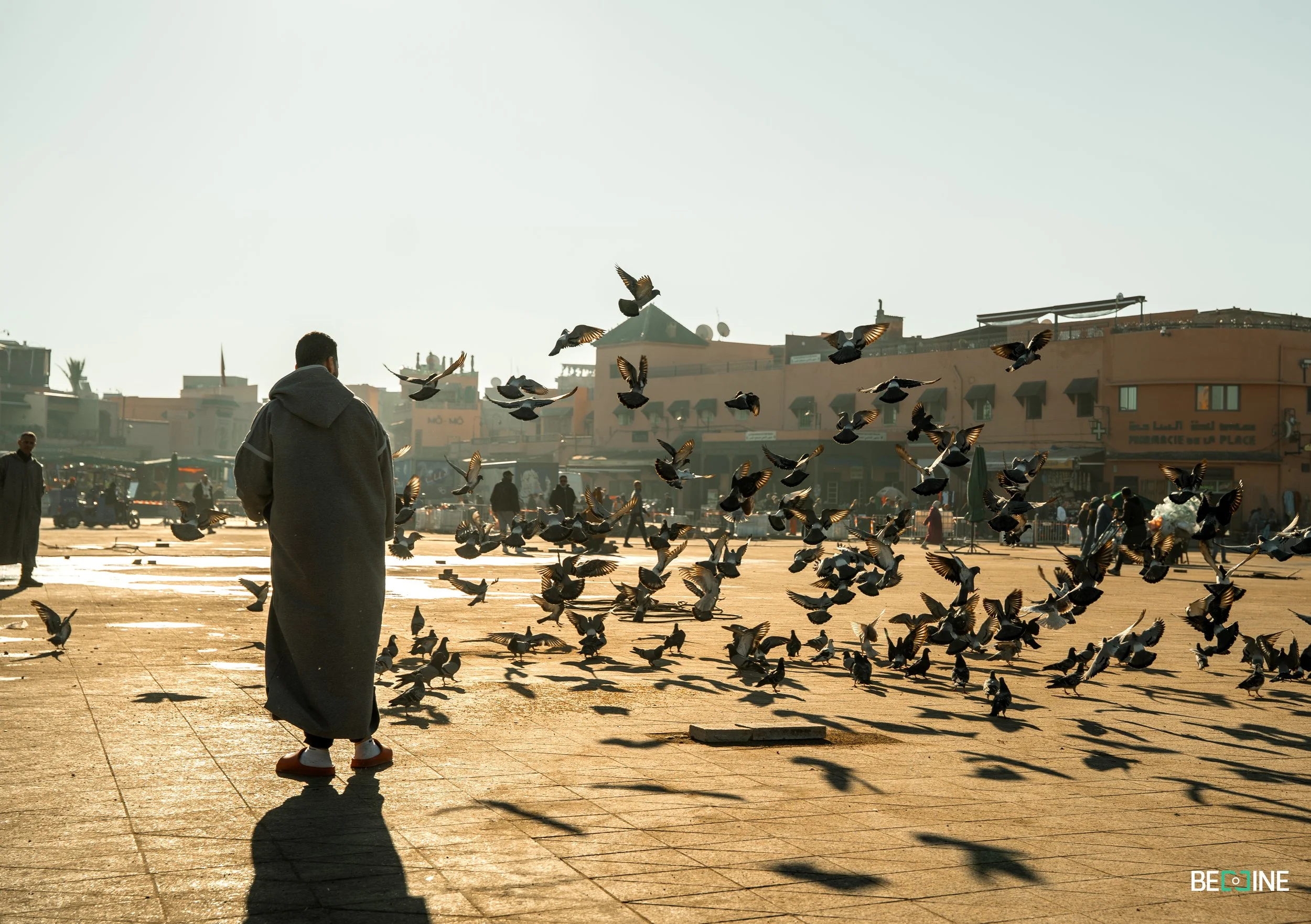 marrakech square jelaba man birds (1 of 1).jpg