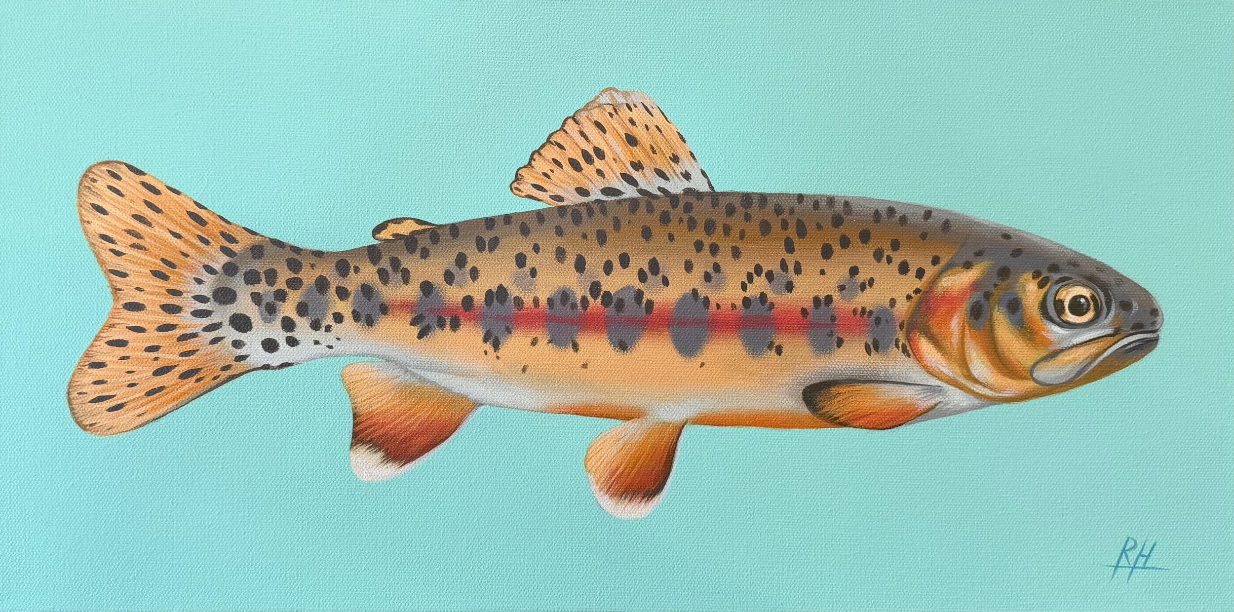 Golden Trout