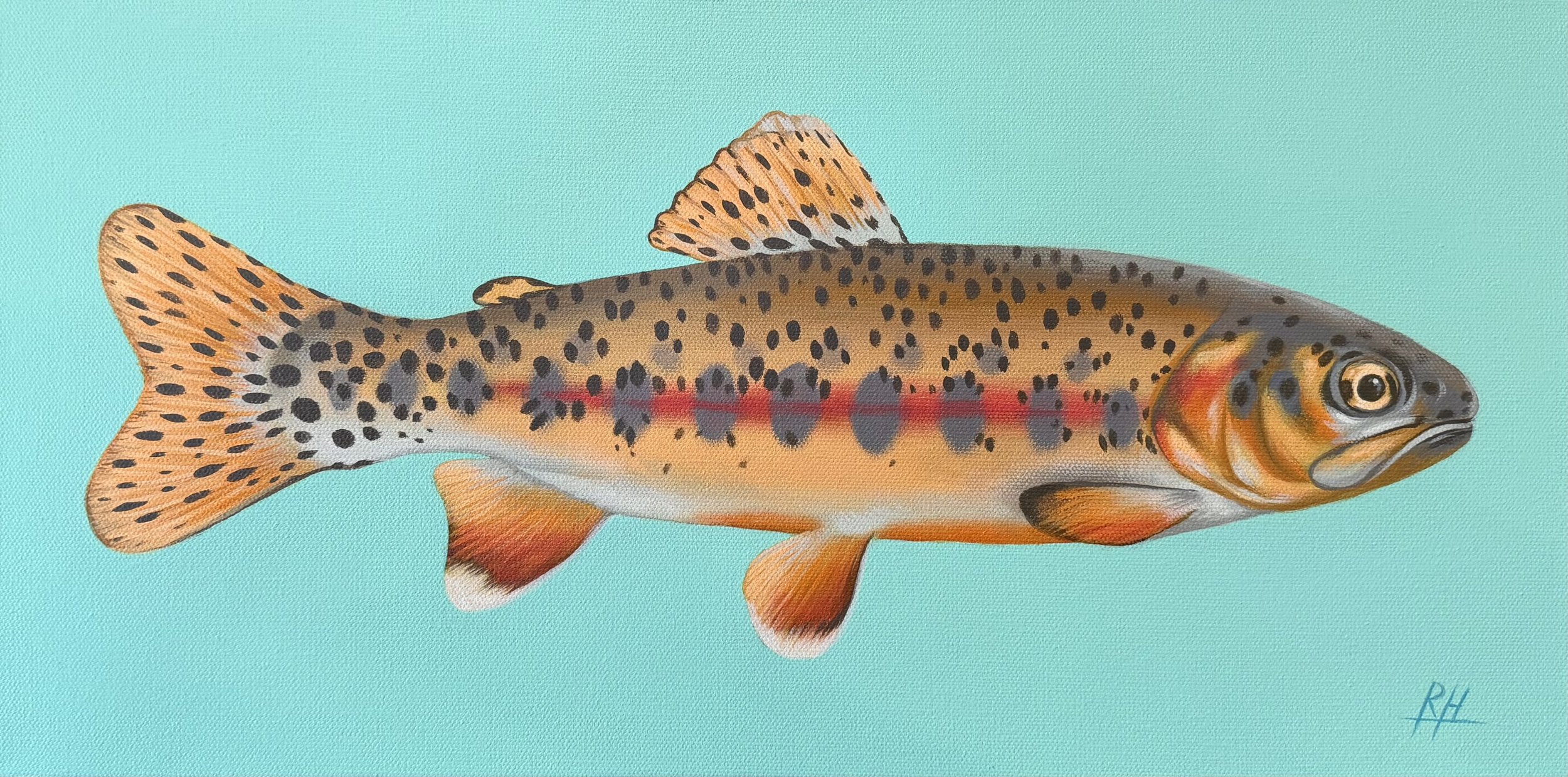 golden trout original painting.jpeg