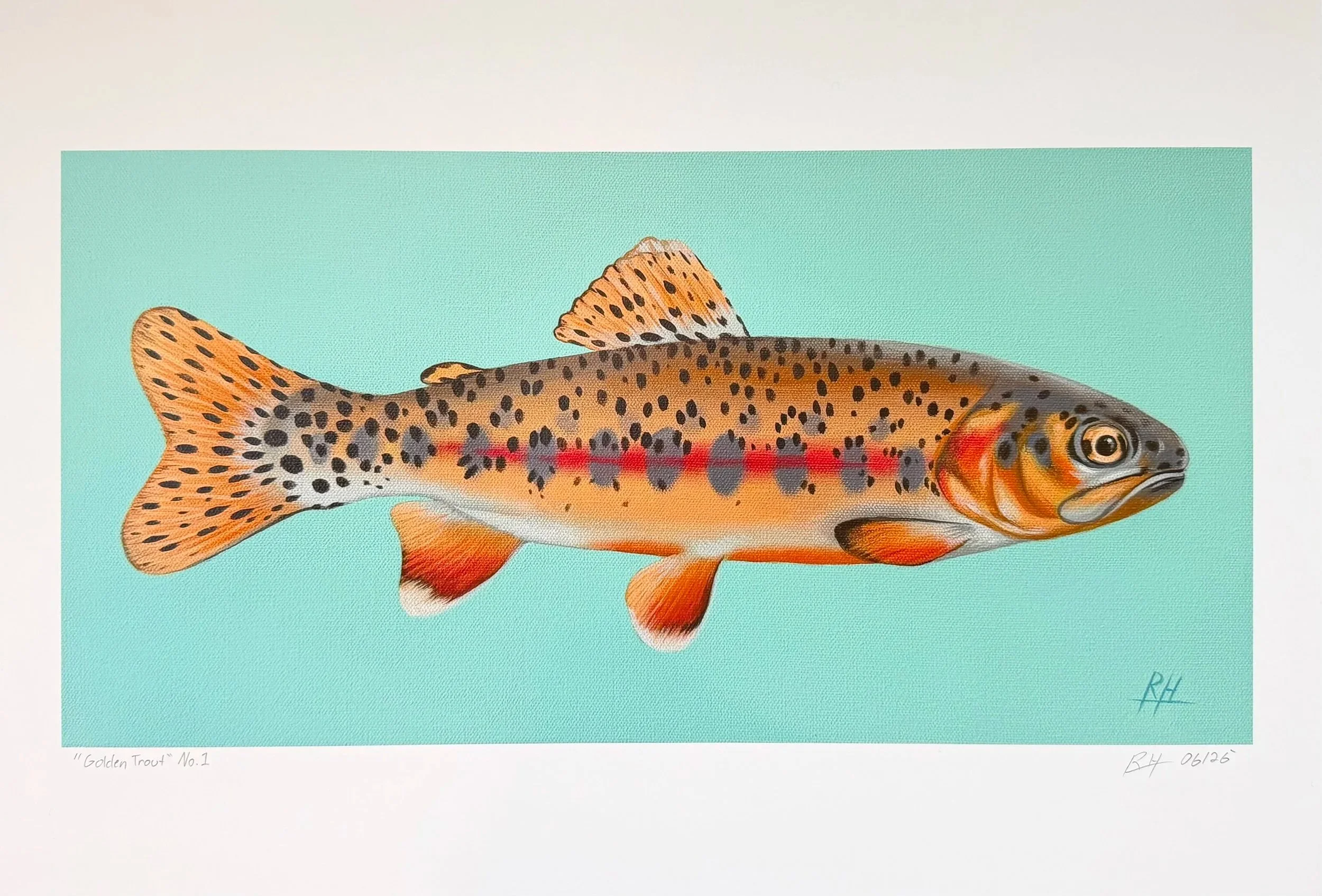 golden+trout+painting+print.jpg