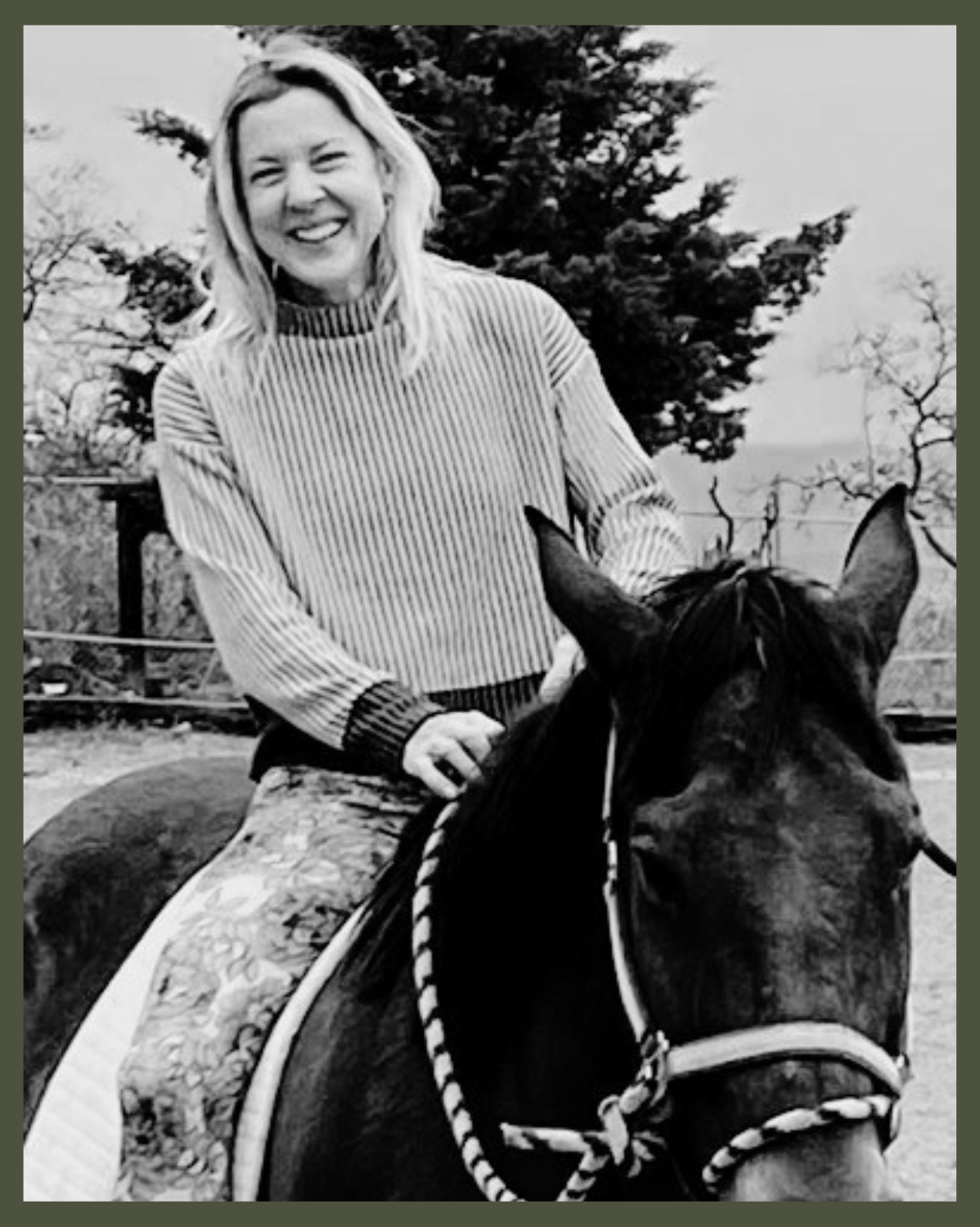 Horse Education Workshop