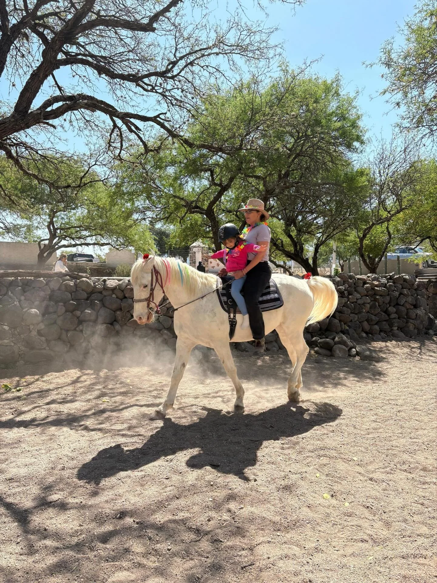 A magical week at equine therapy 🦄🌈
Through imagination, laughter, and the special bond with our horses, the kids experienced moments of confidence, joy, and connection.

Una semana m&aacute;gica en equinoterapia 🌈
A trav&eacute;s de la imaginaci&