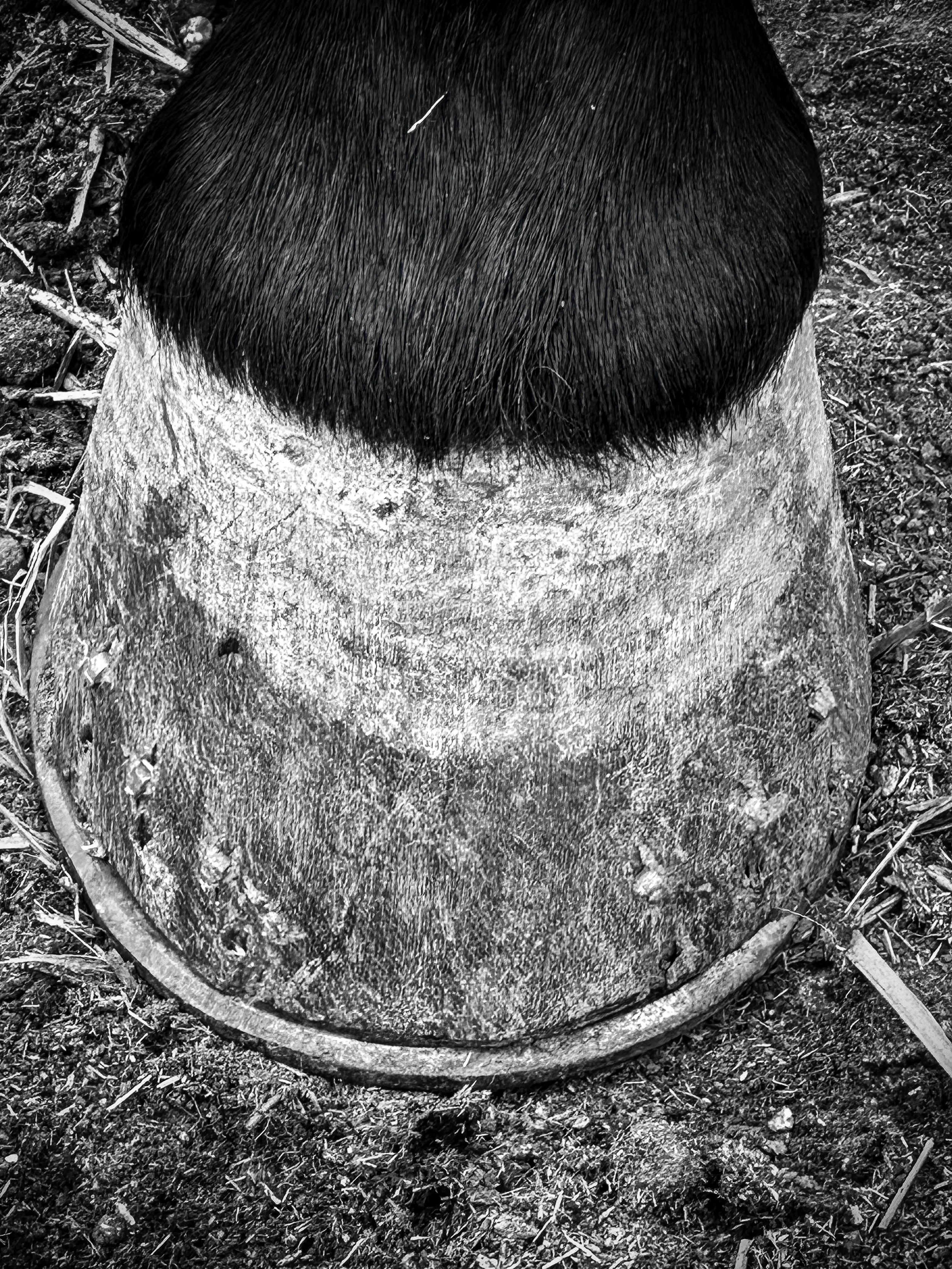 untitled-15.jpg