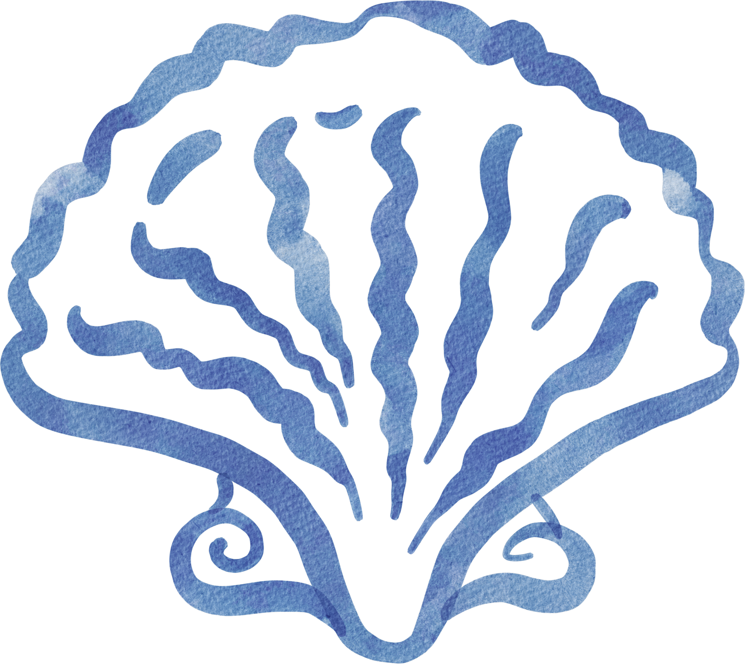 Illustration of a rose with a blue textured outline and detailed interior, set against a neutral background.