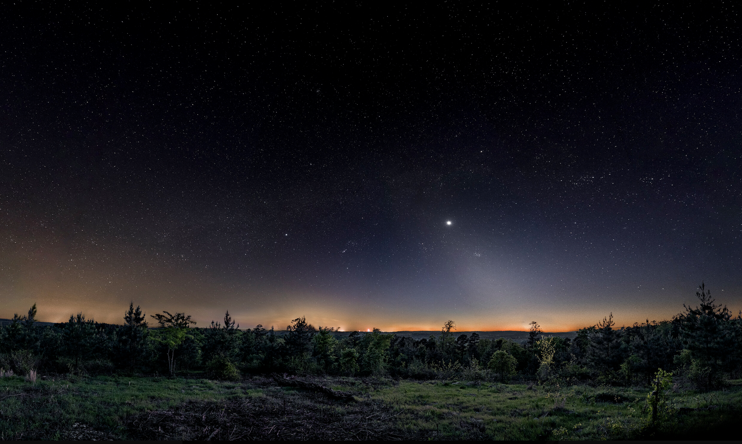 Night sky filled with stars above a forested landscape with trees and some distant city lights on the horizon.