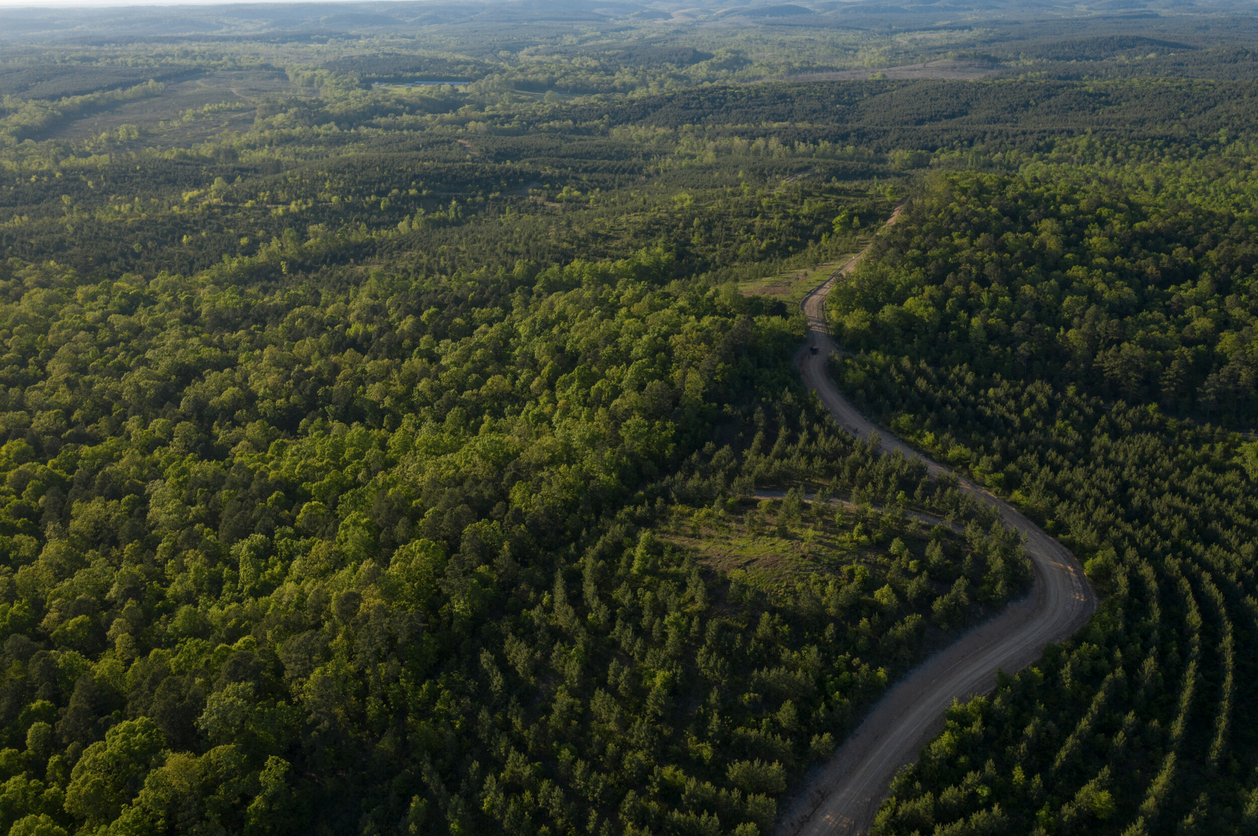 A winding dirt road running through a lush green forest, with rolling hills and fields in the distance under a clear sky.
