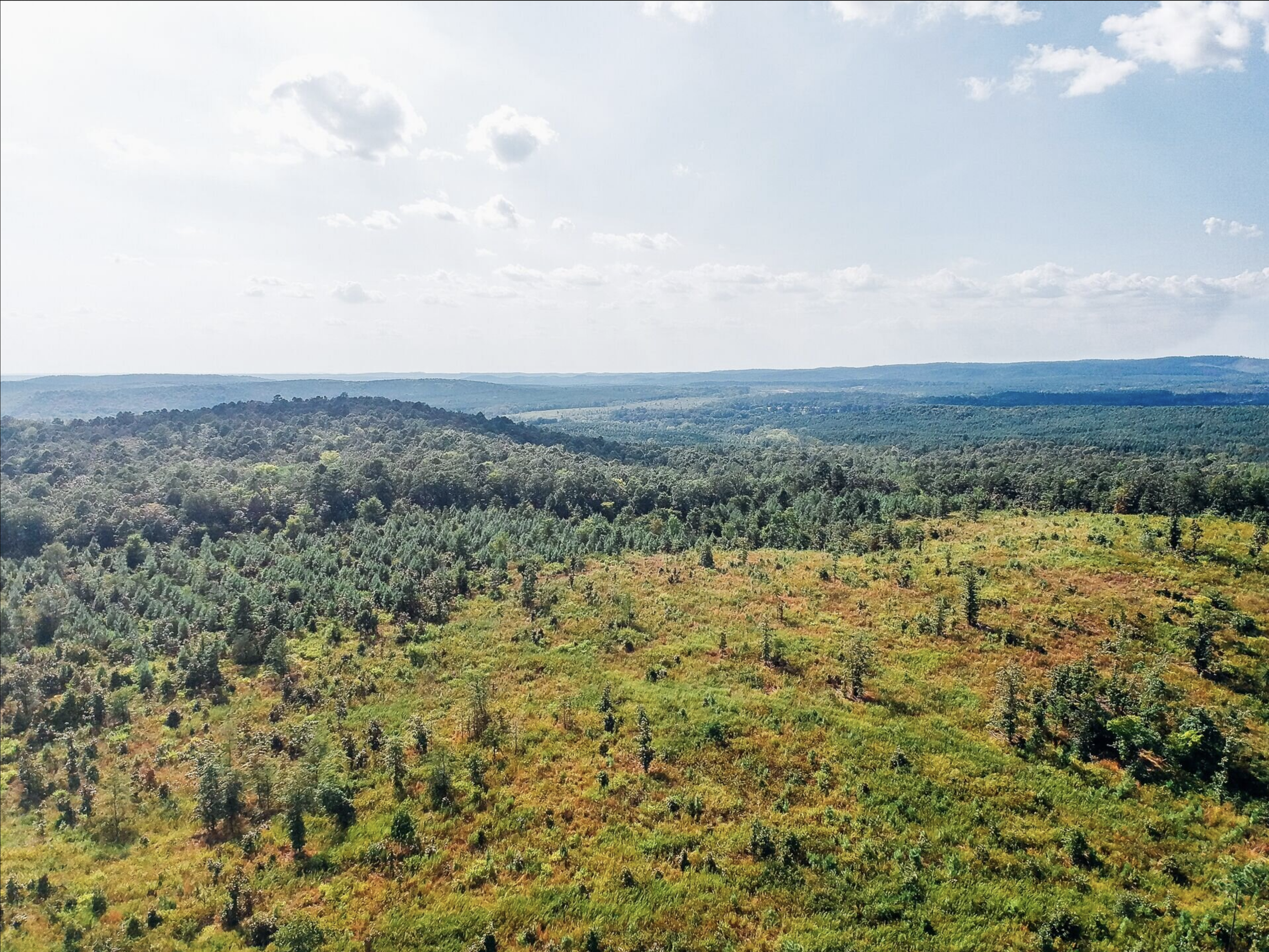 A vast forested landscape stretching to the horizon under a partly cloudy sky.