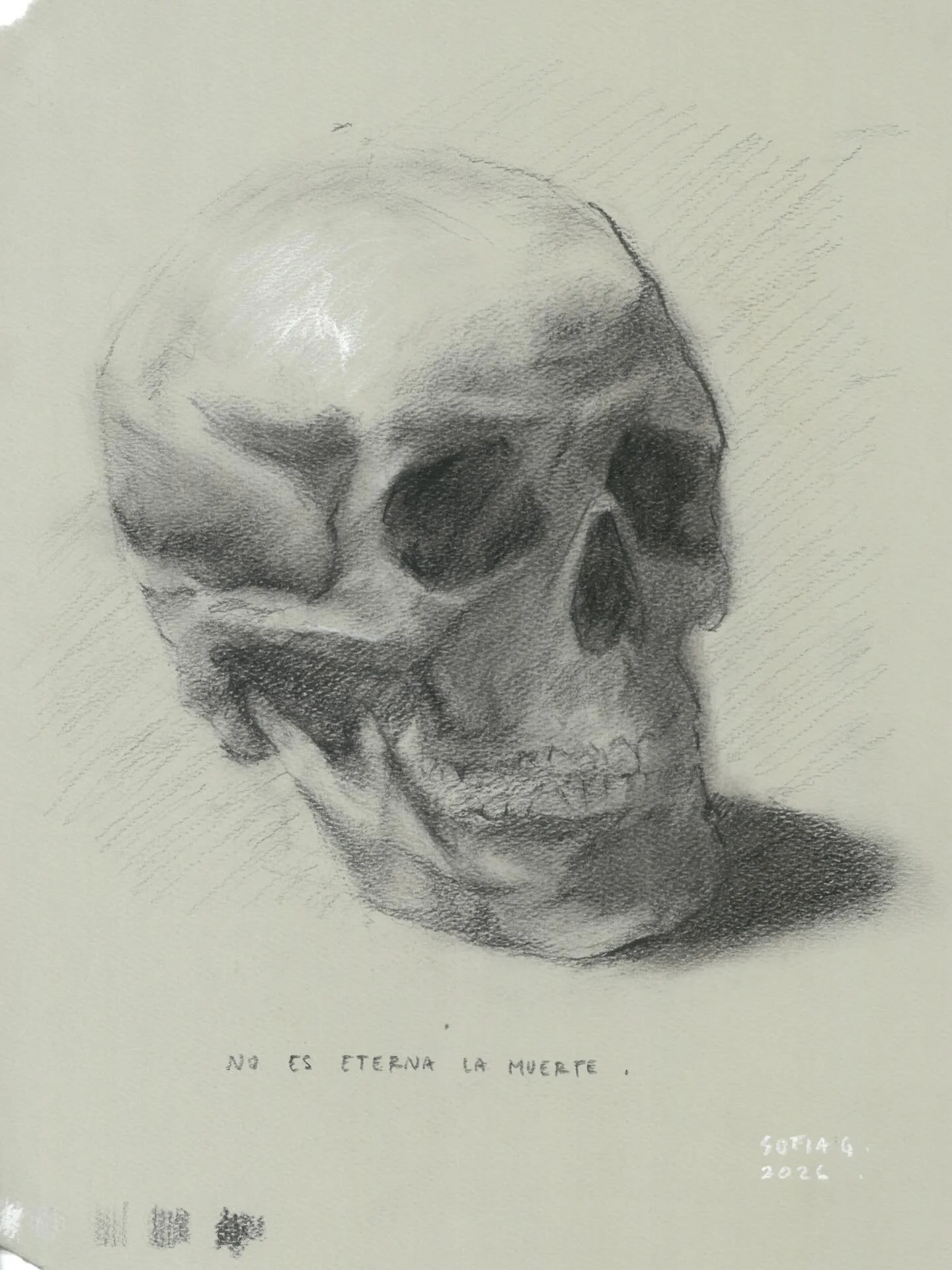 Charcoal on paper. 2026