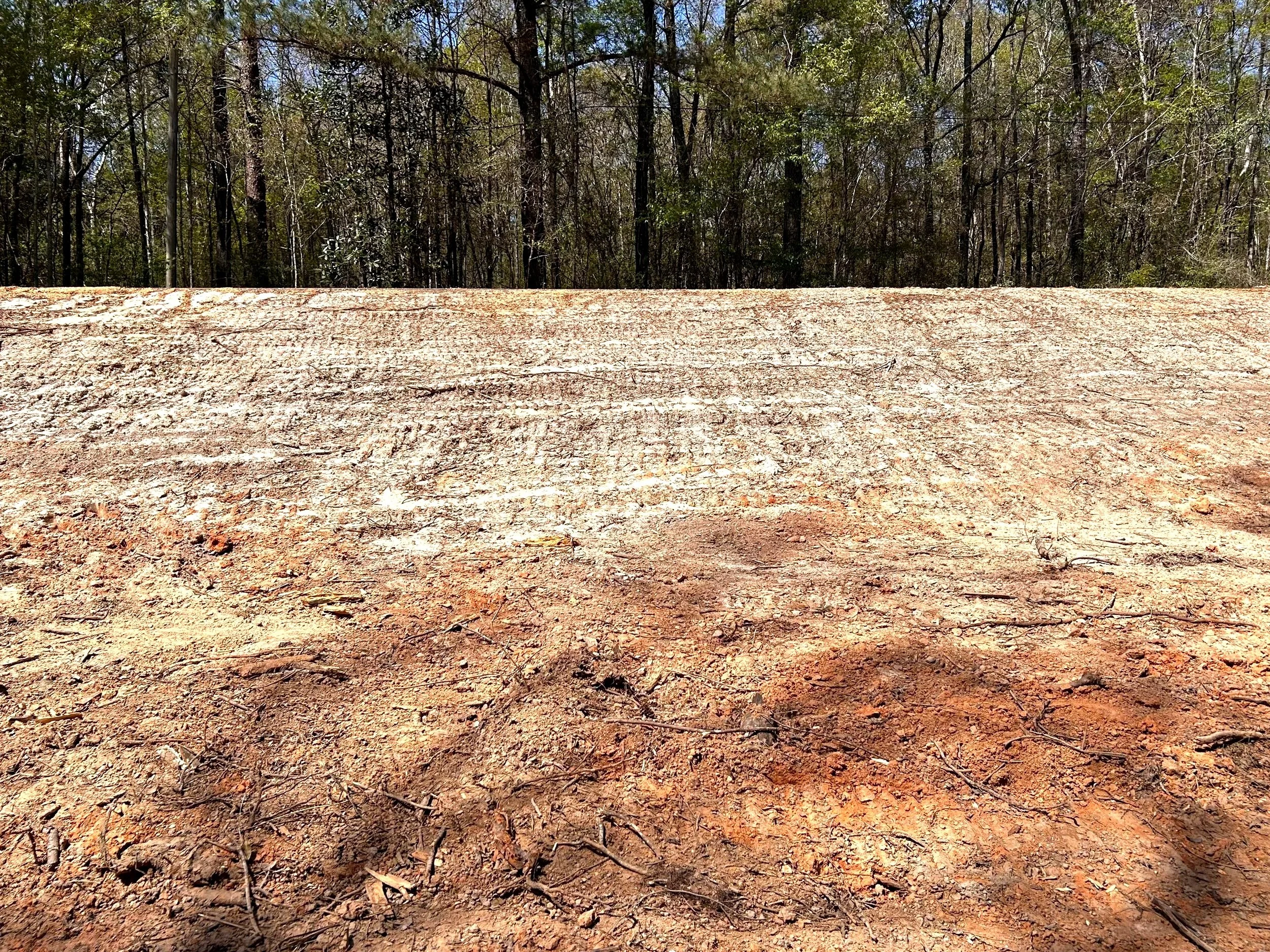 Added topsoil to area for grass to be planted. This is the previous driveway location.