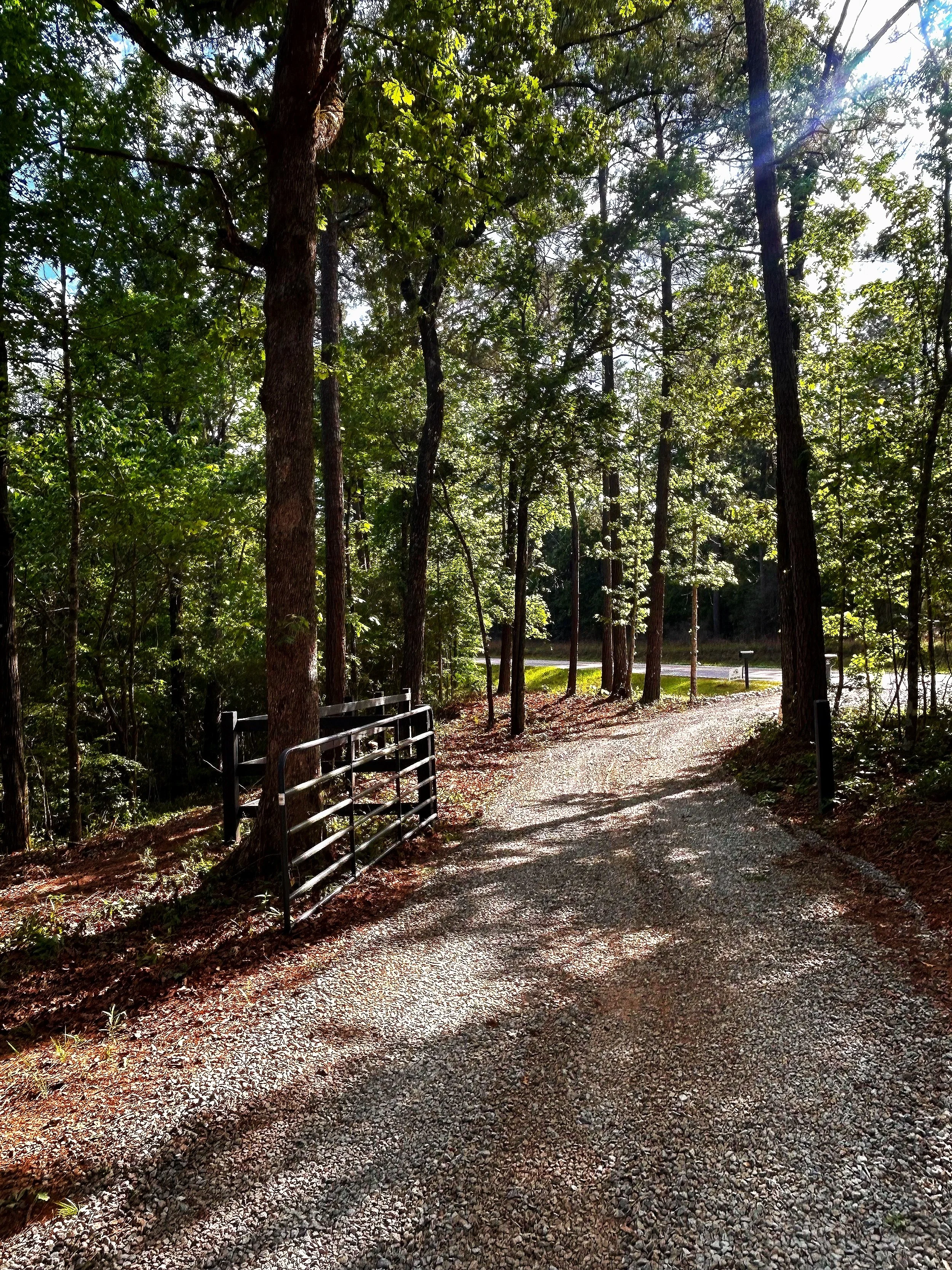 Entrance to hillside home site with gate and curved driveway.