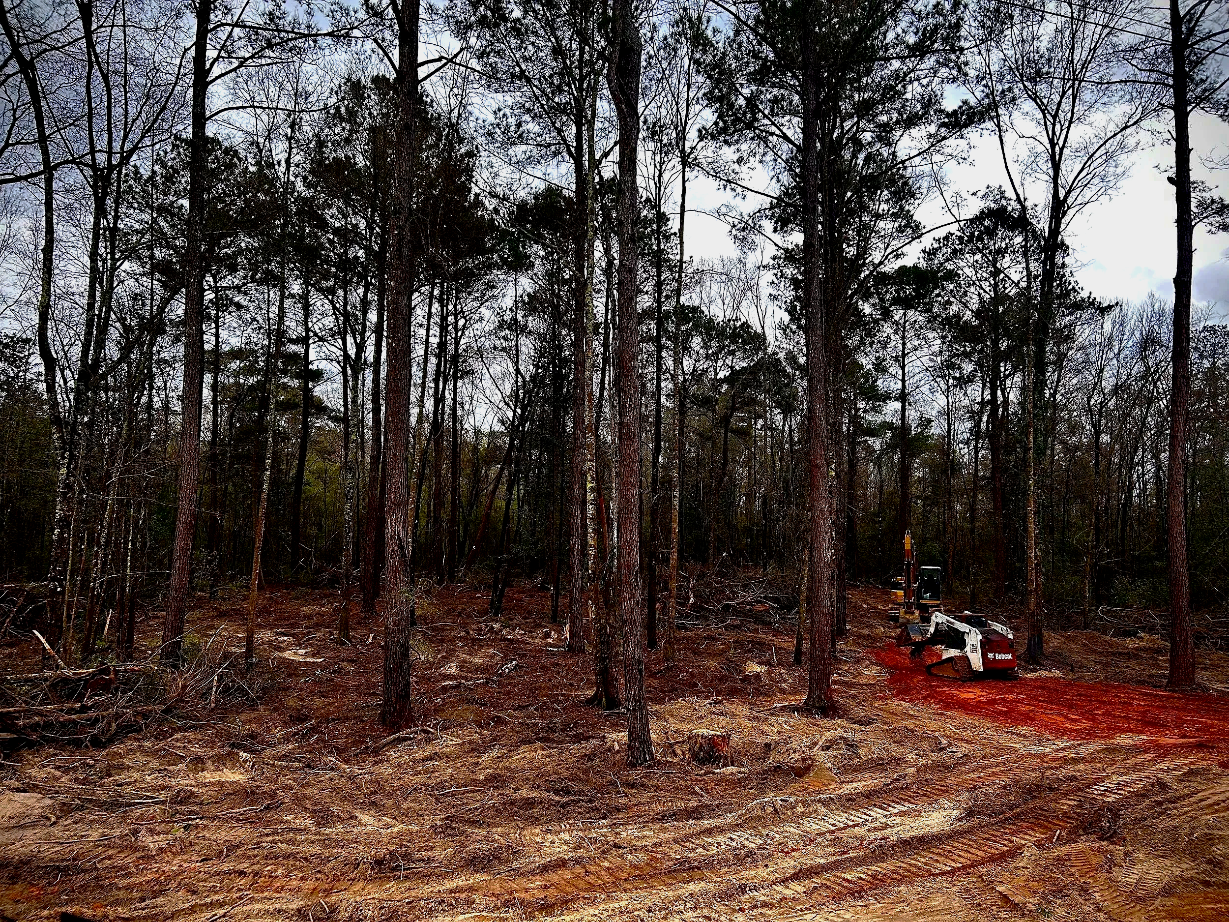 Land clearing and dirt work for an eight acre property located alongside a creek for a home site.