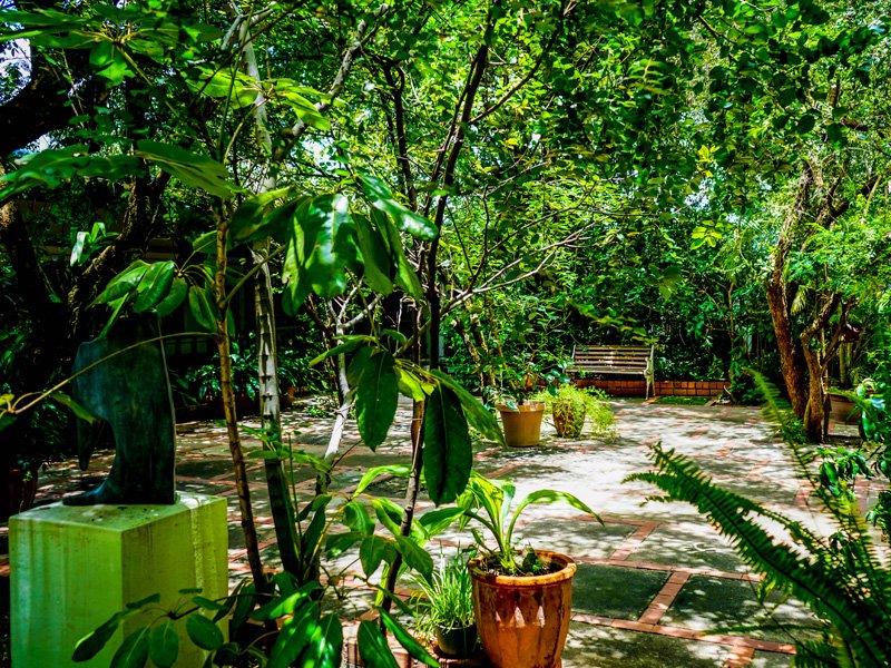 A lush outdoor garden with potted plants, trees, and a paved pathway. There are benches and dense greenery providing shade.