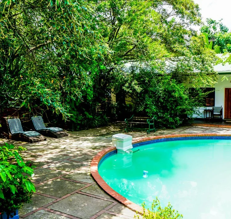 Swimming pool surrounded by lush green trees and bushes, with two striped lounge chairs on the stone patio, and a white building with a door and window in the background.