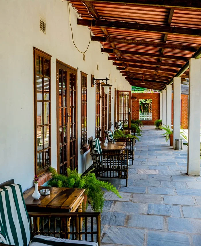 A covered outdoor patio with wooden chairs and tables, potted plants, and large windows on a white building. The patio has a tiled floor and a sloped roof with exposed wooden beams.