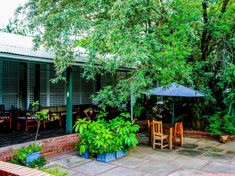 Patio area with outdoor seating, table with chairs under a large umbrella, surrounded by greenery and trees, with a building in the background.