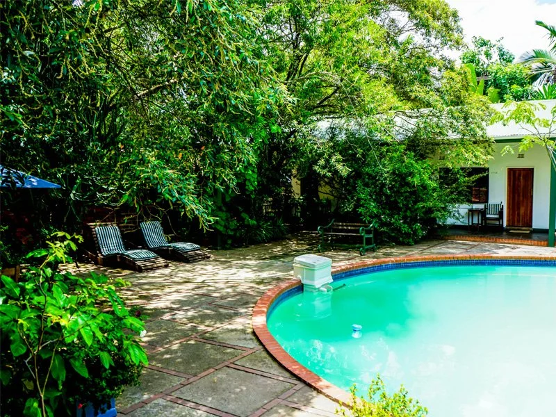 Pool area with surrounding trees, lounge chairs, and a small building with a bench.