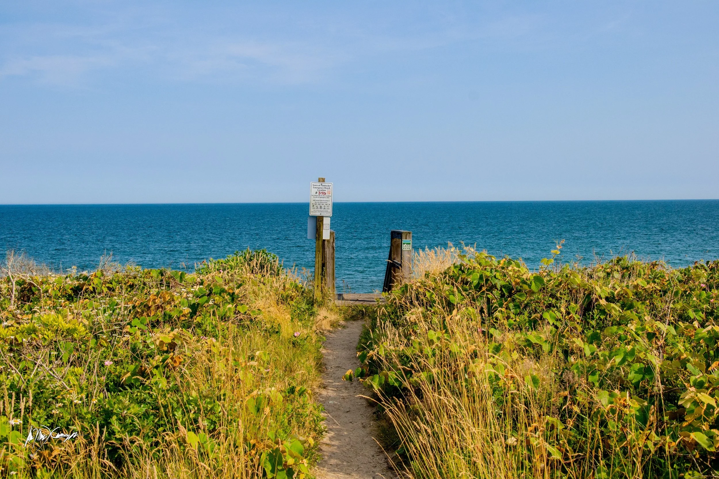 Some proof from #Nantucket that the #Nikon D3100 holds up to this day 😉📸#photography #summer2026 #vacation