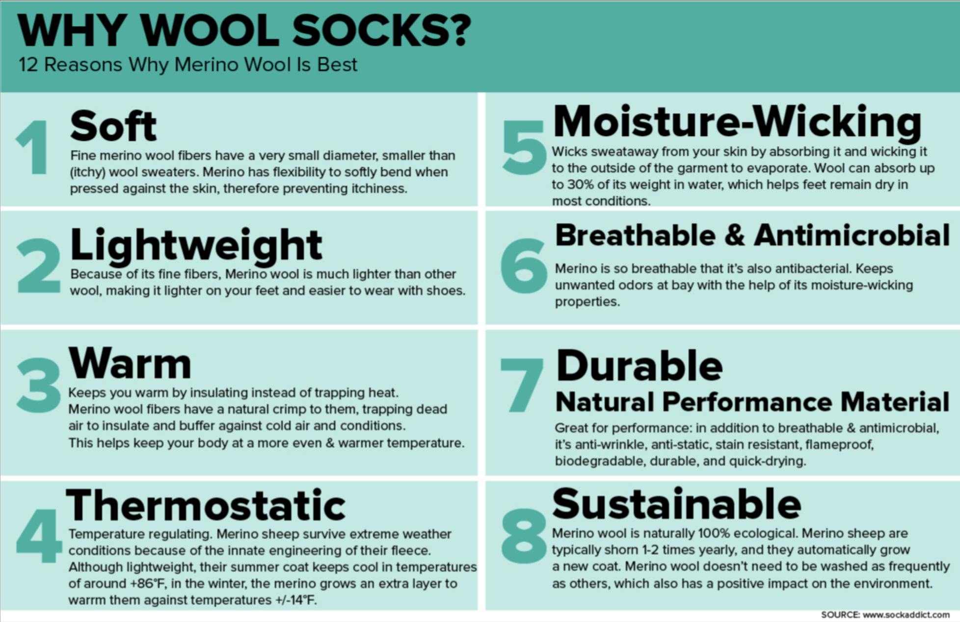 Wool Benefits - Design Brief Excerpt