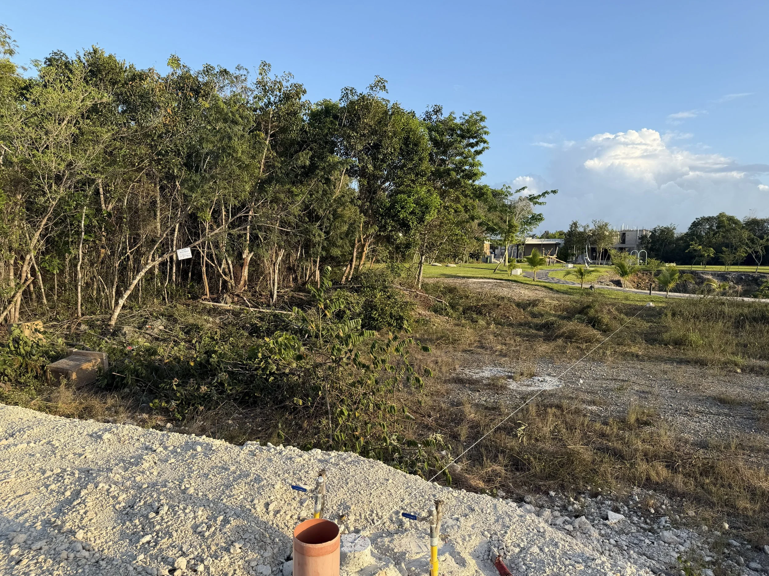 Early site preparation