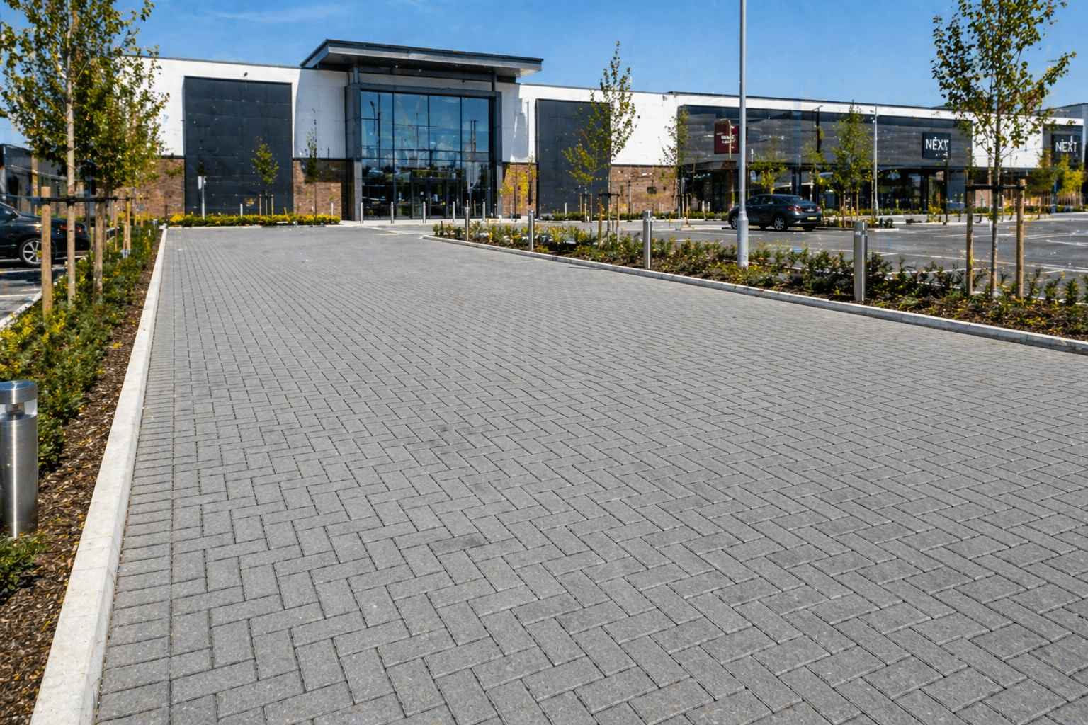 Empty parking lot in front of a building with trees and landscaped areas, modern building with glass entrance, and parking spaces.