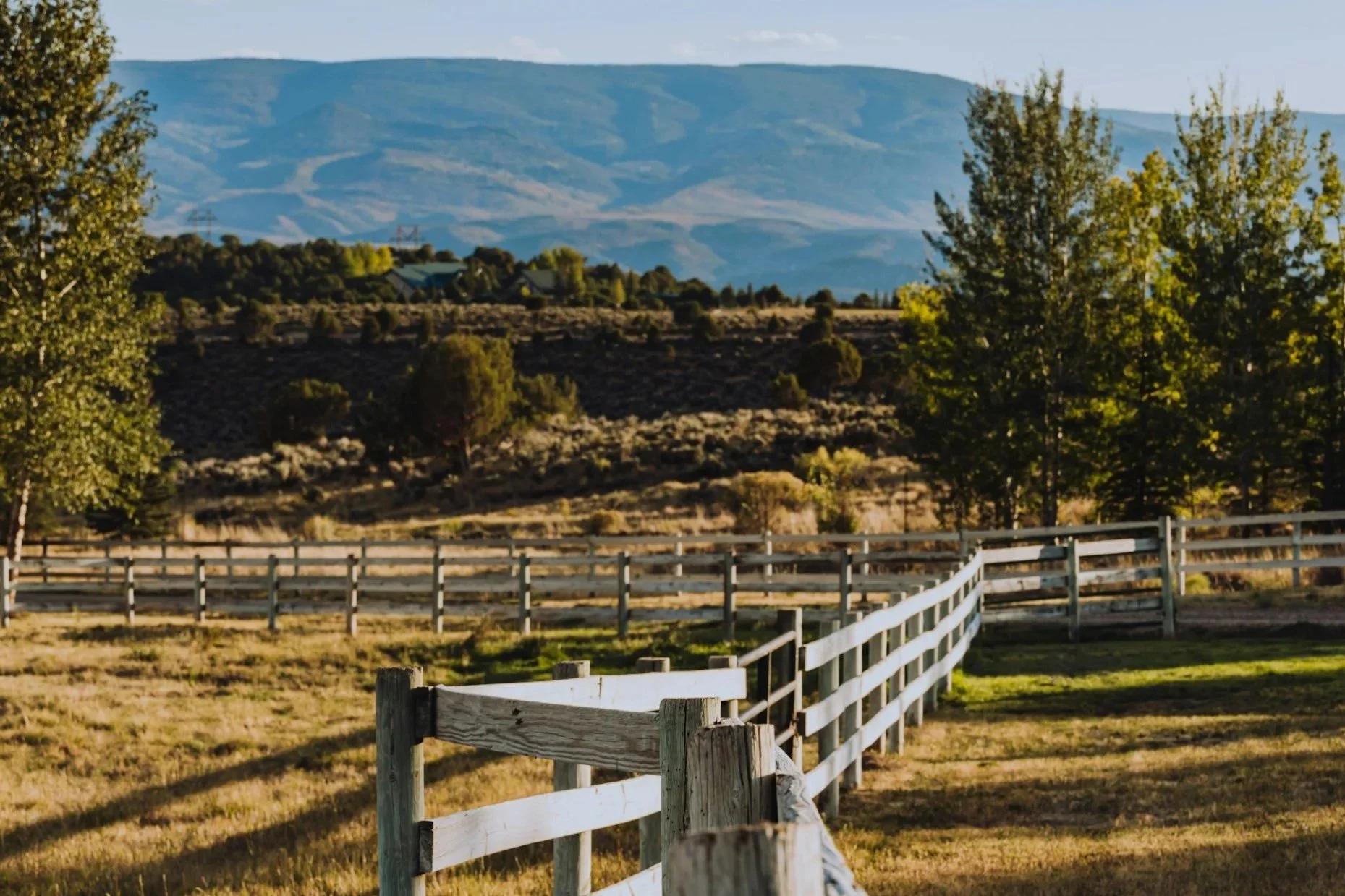 A white wooden fence runs through a grassy field, with trees lining the horizon and a mountain range in the background under a cloudy sky.