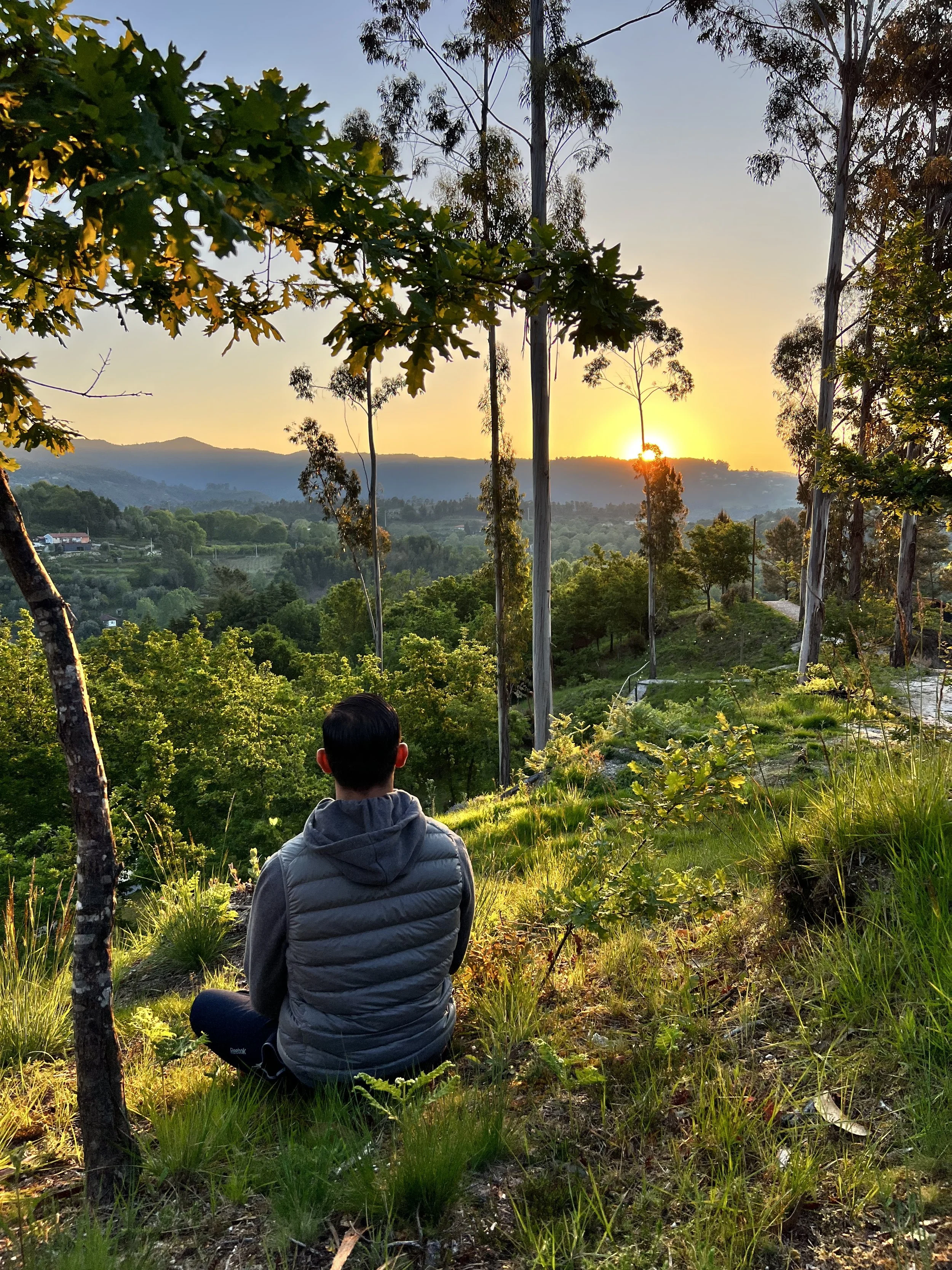 Person sitting outdoors on a grassy hillside, facing sunset with trees and rolling hills in the background.
