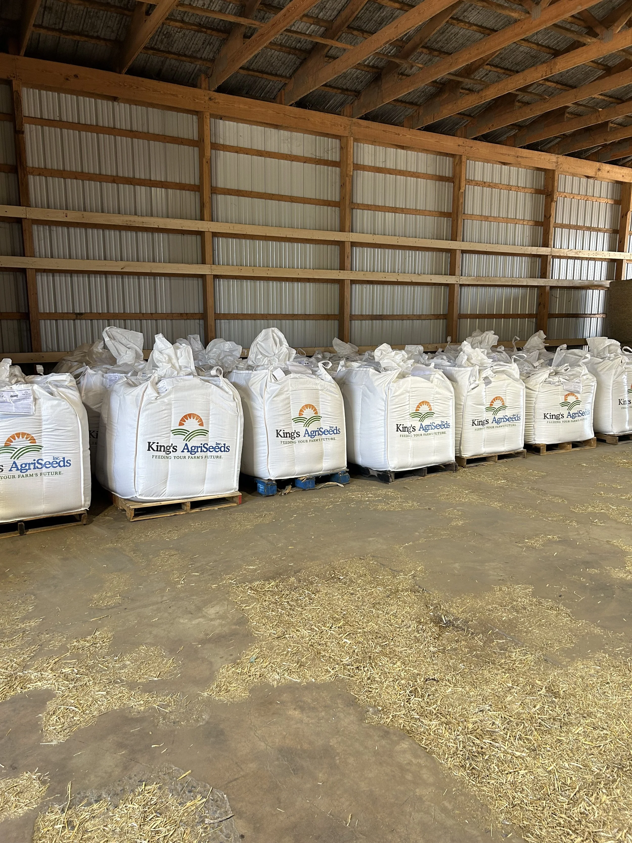 Inside a barn or storage shed with wooden beams and metal siding, containing large bags of seeds labeled 'King's AgriSeeds' on a pallet, with hay or straw scattered on the concrete floor.