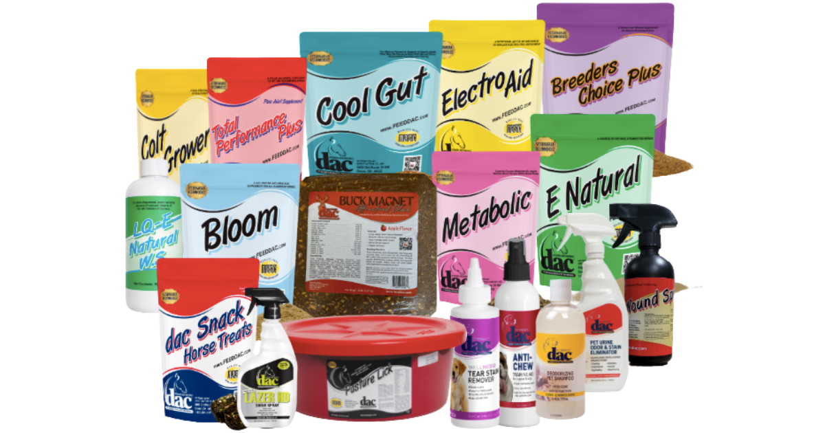 Collection of horse care products and supplements, including feed additives, sprays, grooming supplies, and horse treats.