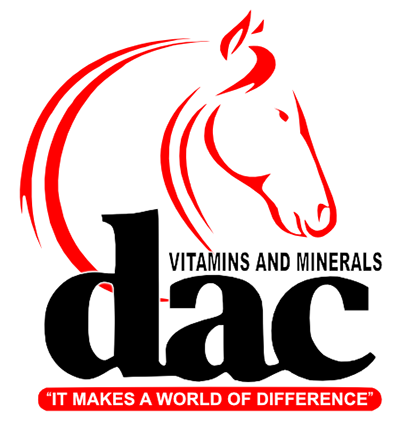 Logo with a stylized horse head in red and white, with the text 'Vitamins and Minerals' and 'dlac' below, and the slogan 'It makes a world of difference' in a red banner.