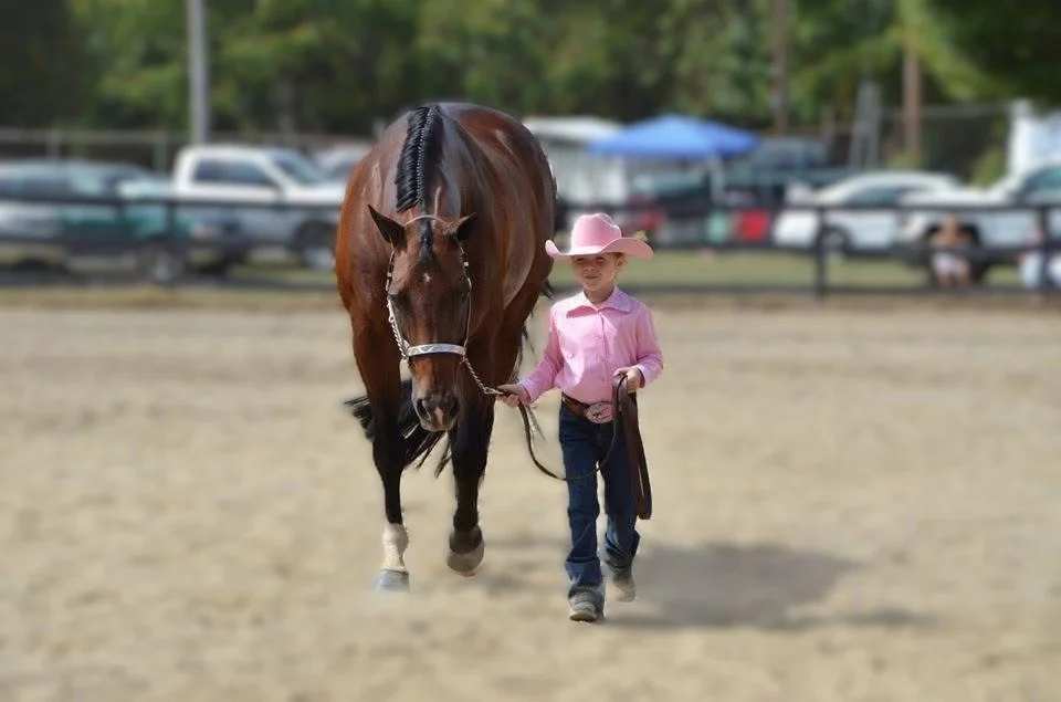 Young girl wearing a pink cowboy hat and pink shirt walking a brown horse on a sandy field, with cars and trees in the background.