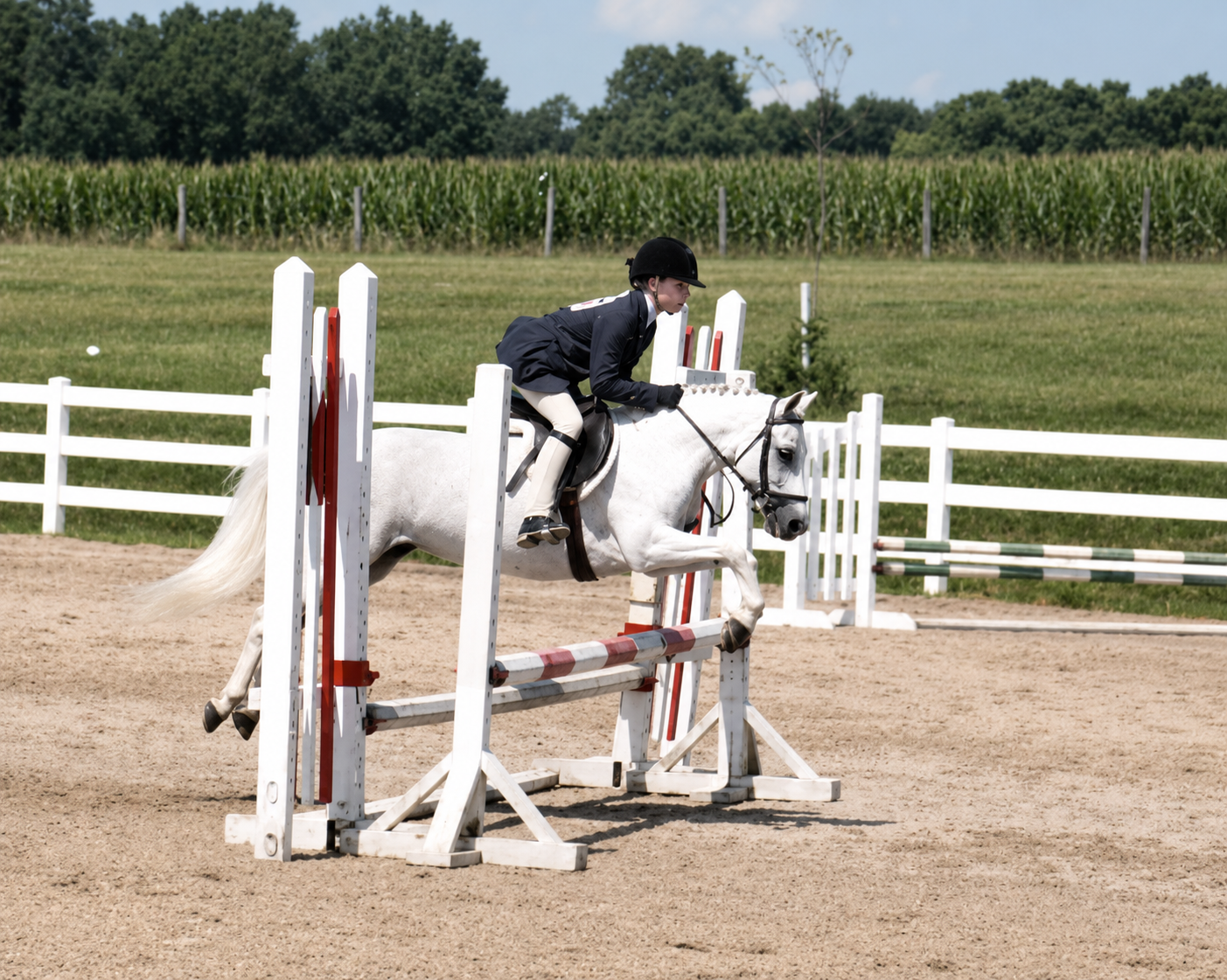 A person riding a white horse jumping over a red and white obstacle during an equestrian competition on a sandy arena with green fields and trees in the background.