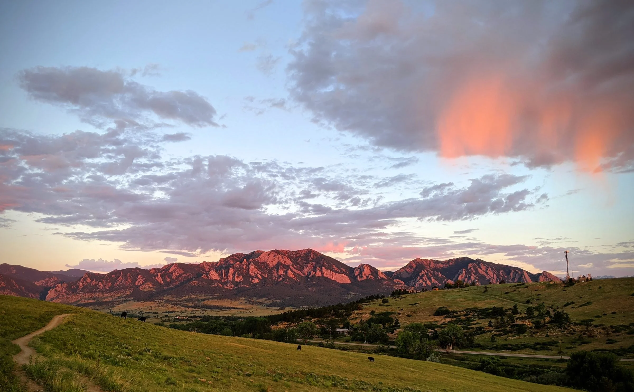 Sunset over mountains with pink clouds in the sky and green grassy fields with cows in the foreground.
