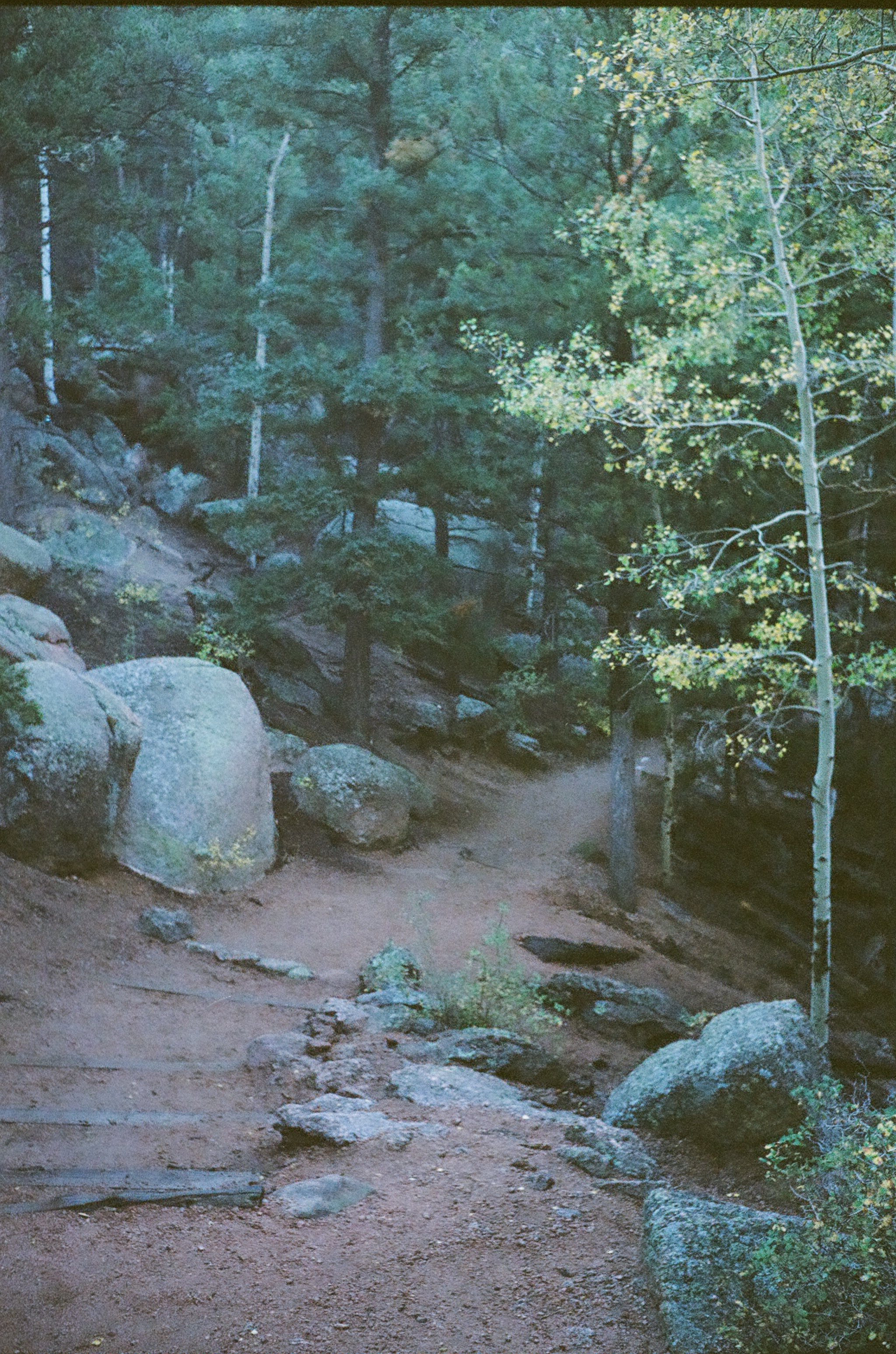 A dirt hiking trail through a forest with large rocks and tall trees.