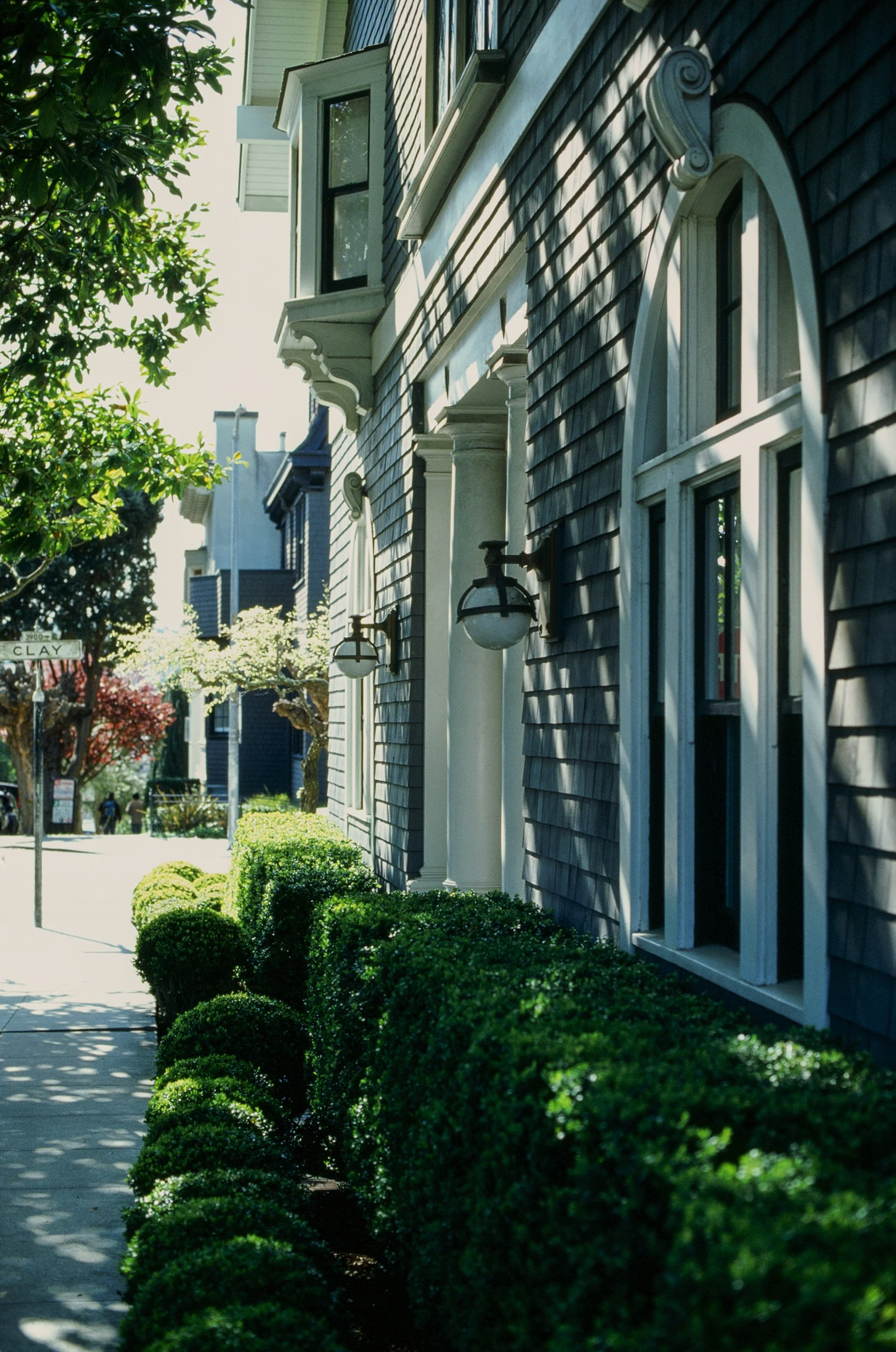 Street view of a blue house with white trim, windows, and exterior lighting fixtures, lush green bushes lining the sidewalk, and trees in the background.