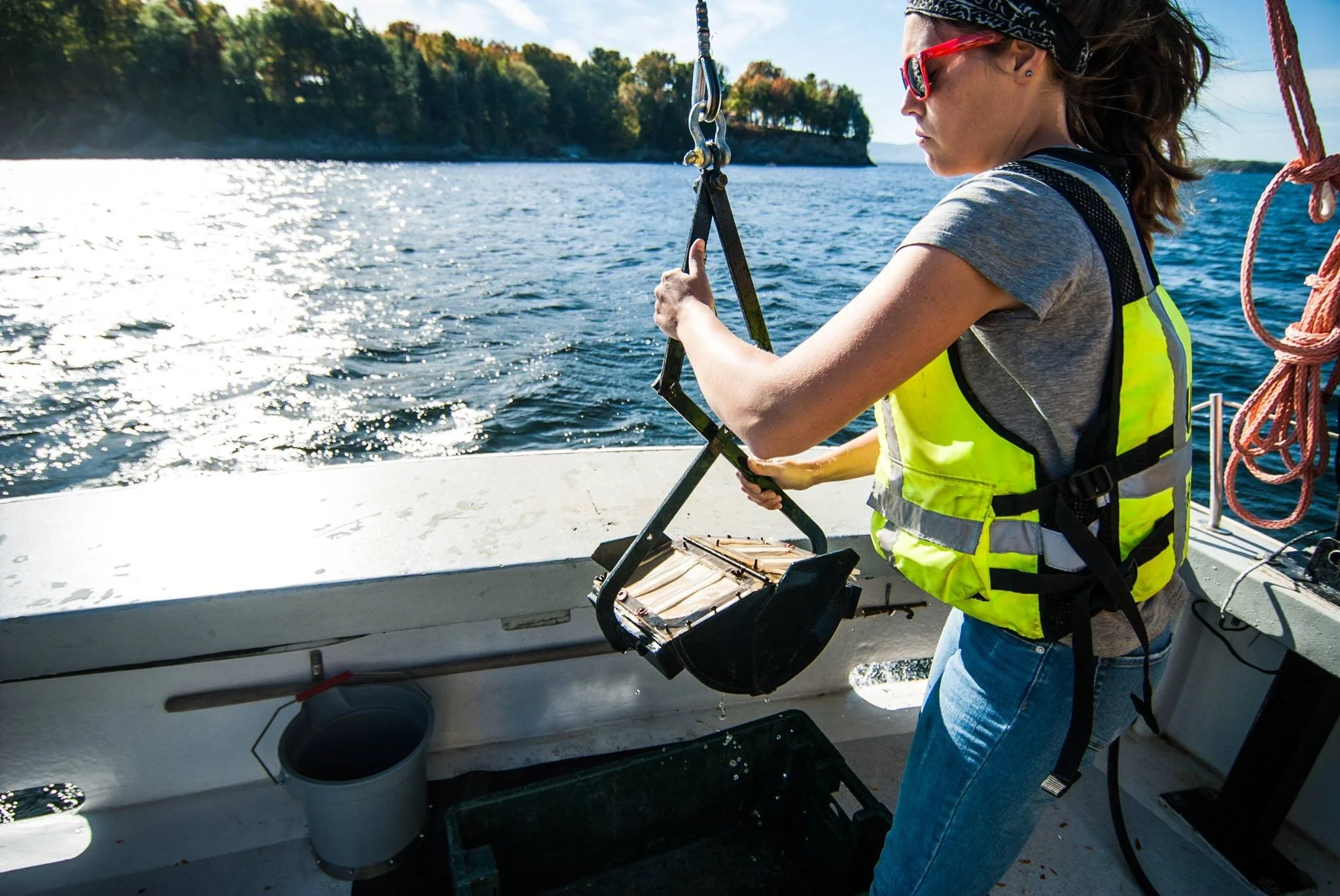 A woman with sunglasses and a yellow safety vest on a boat, handling a beekeeping frame over the water with trees and shoreline in the background.