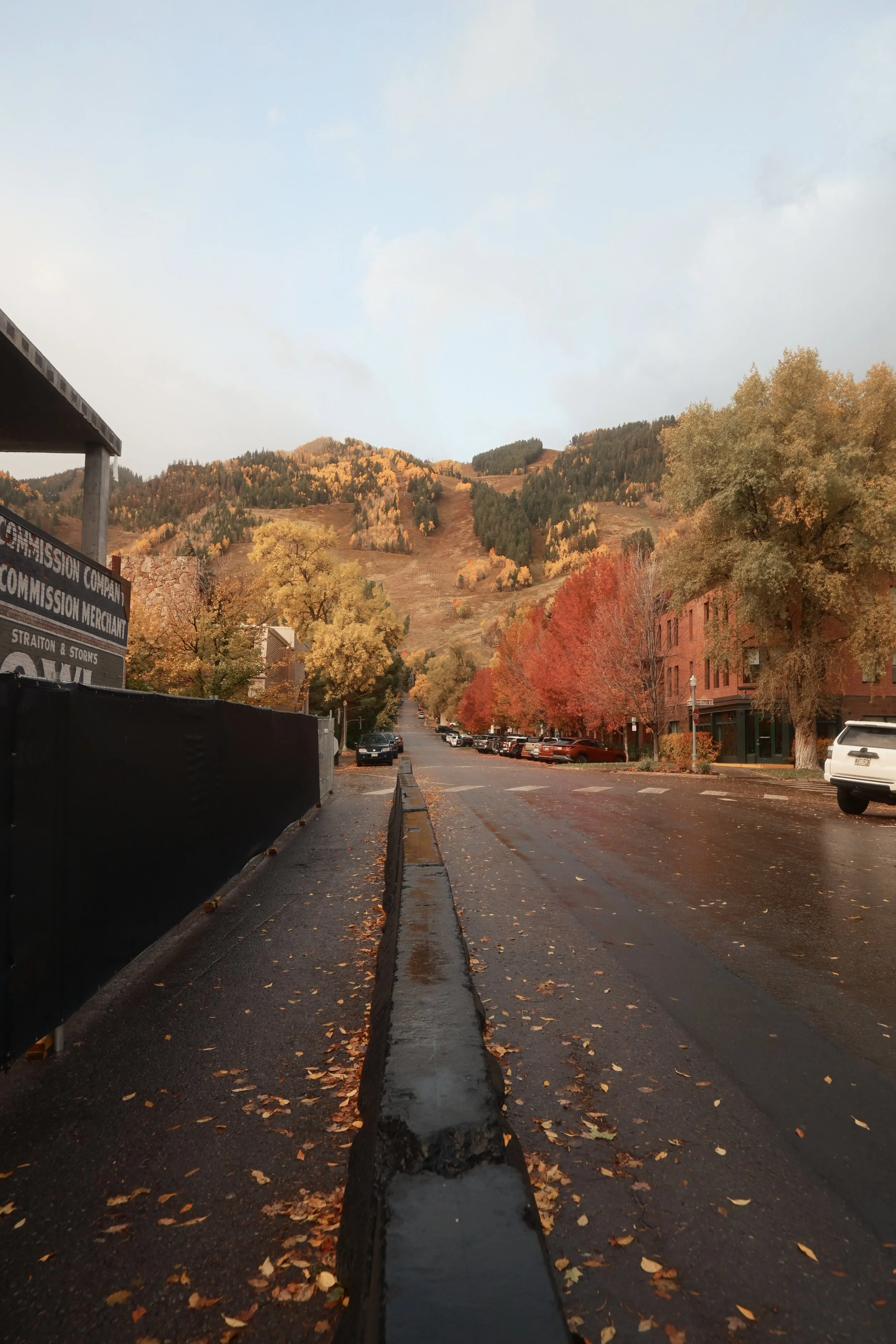 A small town street with parked cars, colorful autumn trees, and mountains in the background on a cloudy day.